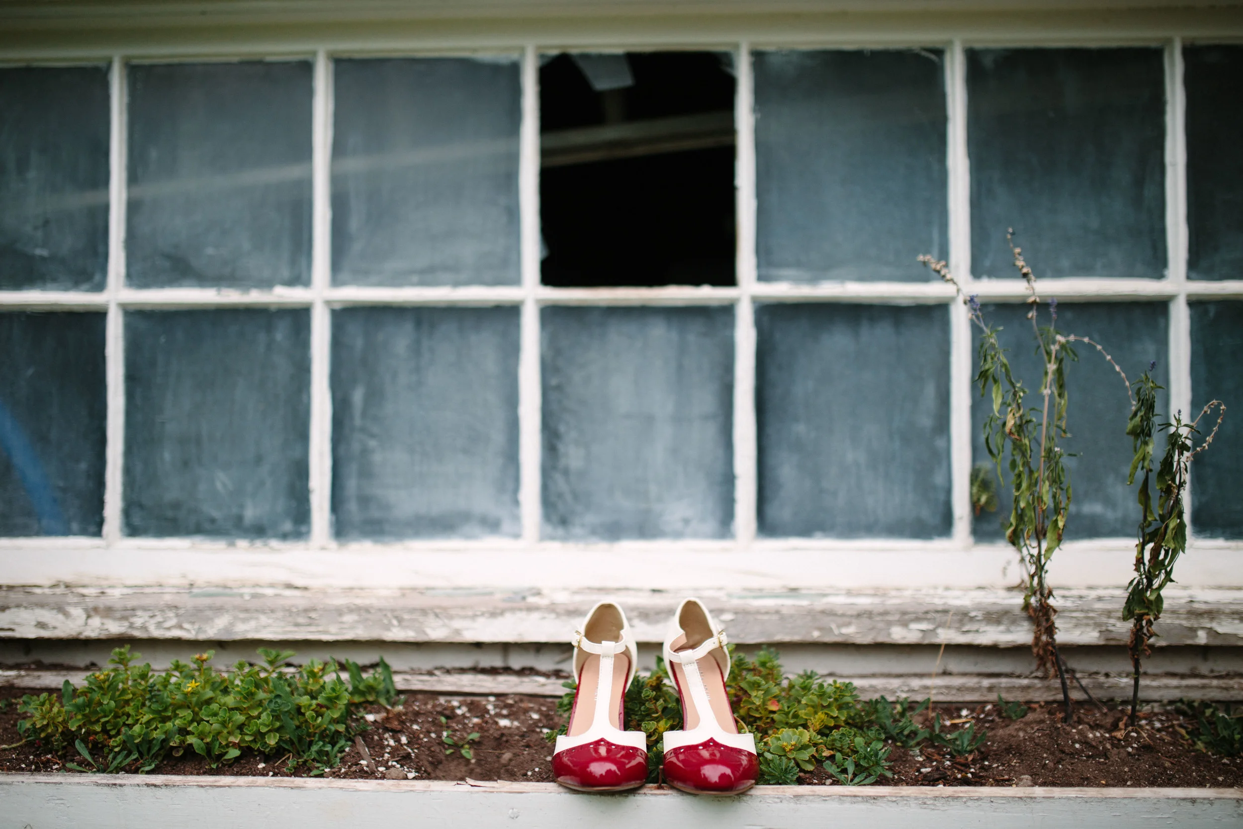 Story Mansion Wedding Photographer