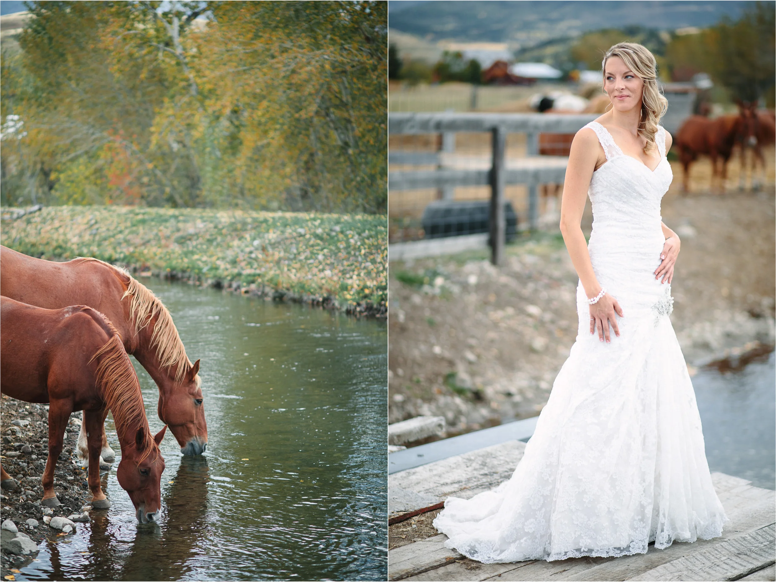 Bozeman Wedding Photographer
