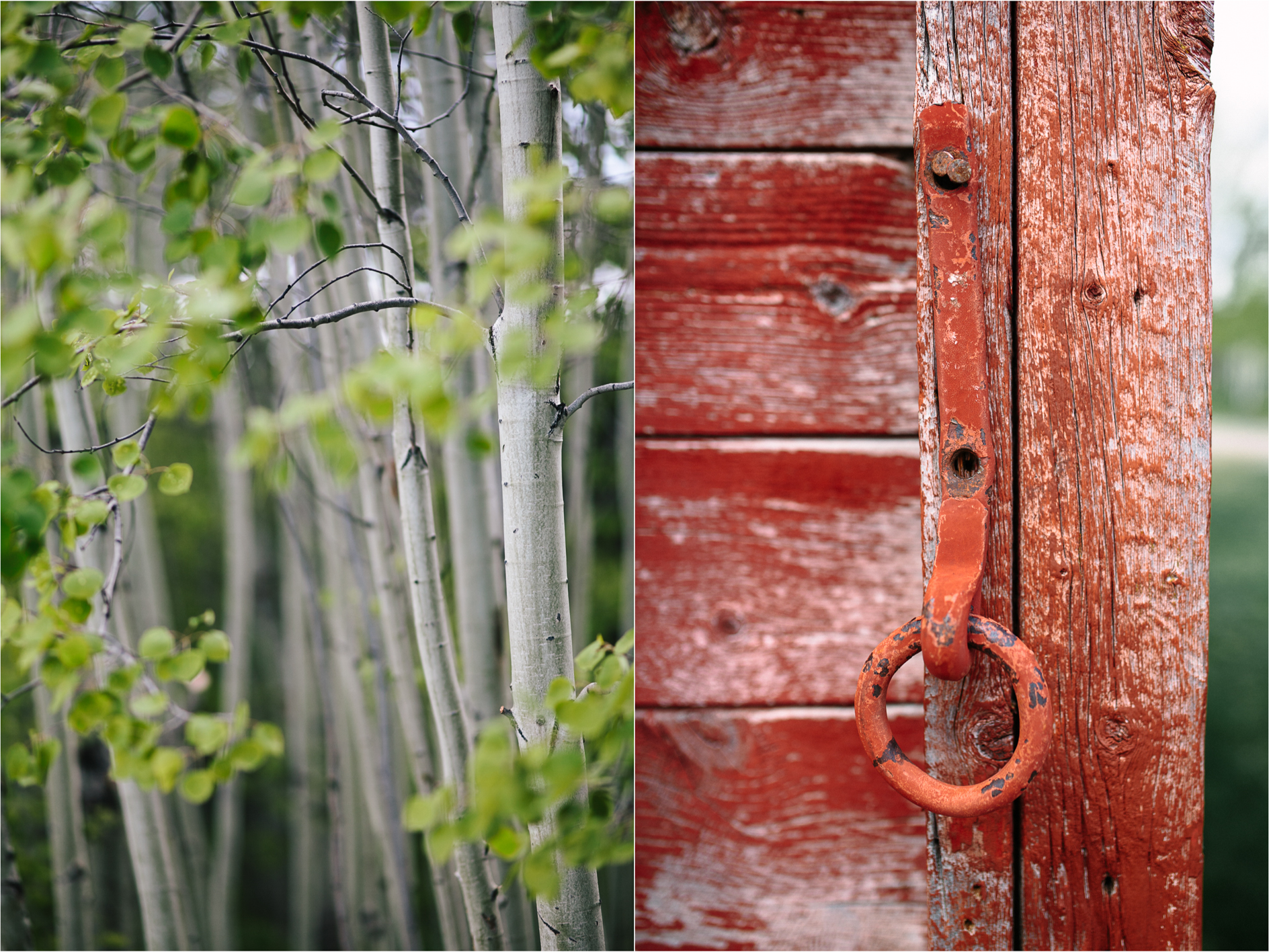 Bozeman Wedding Photographer