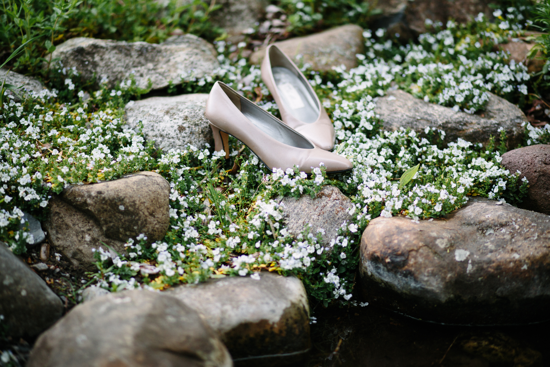 Bozeman Wedding Photographer
