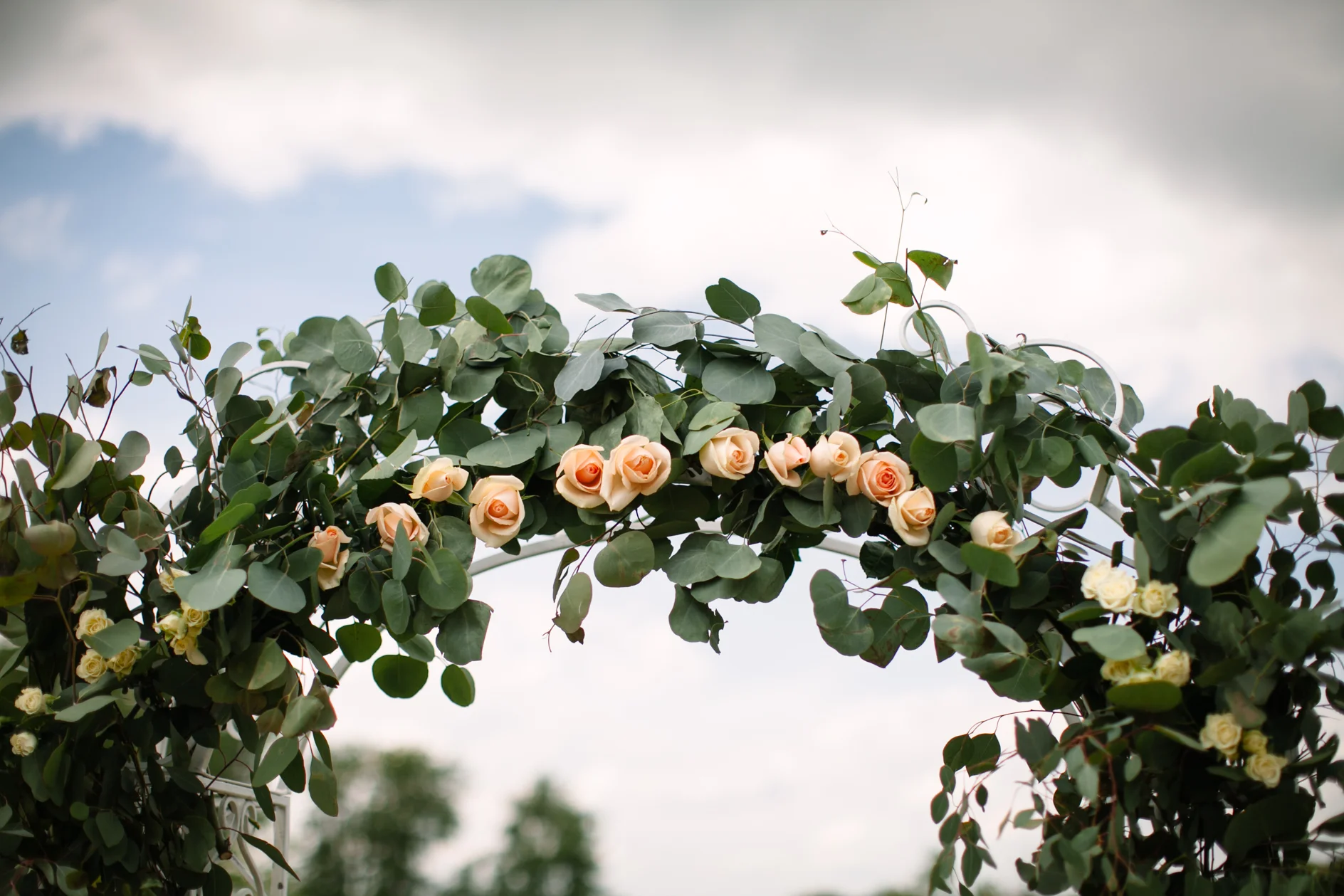 Bozeman Wedding Photographer