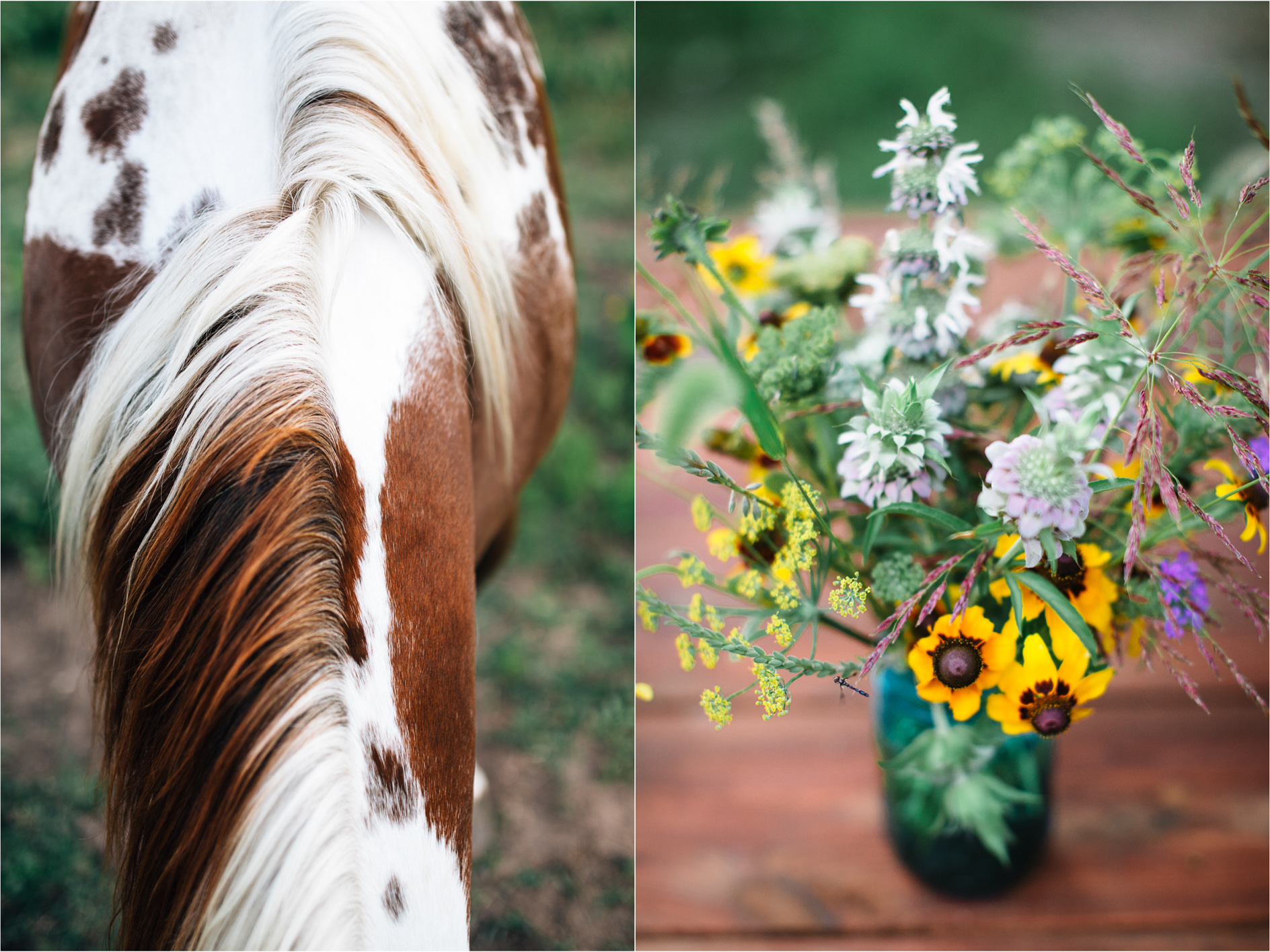 Montana Wedding Photographer