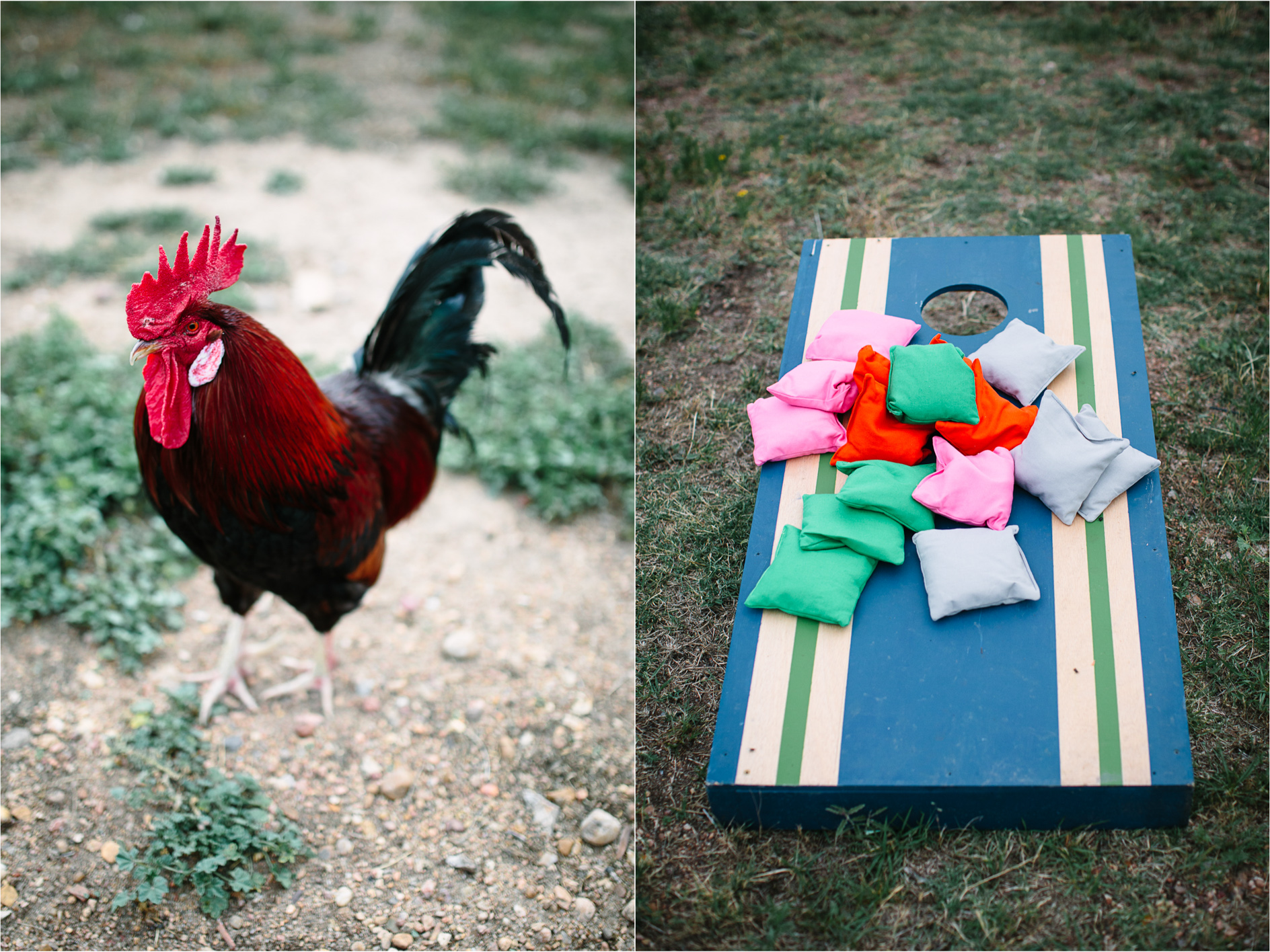 Montana Wedding Photographer