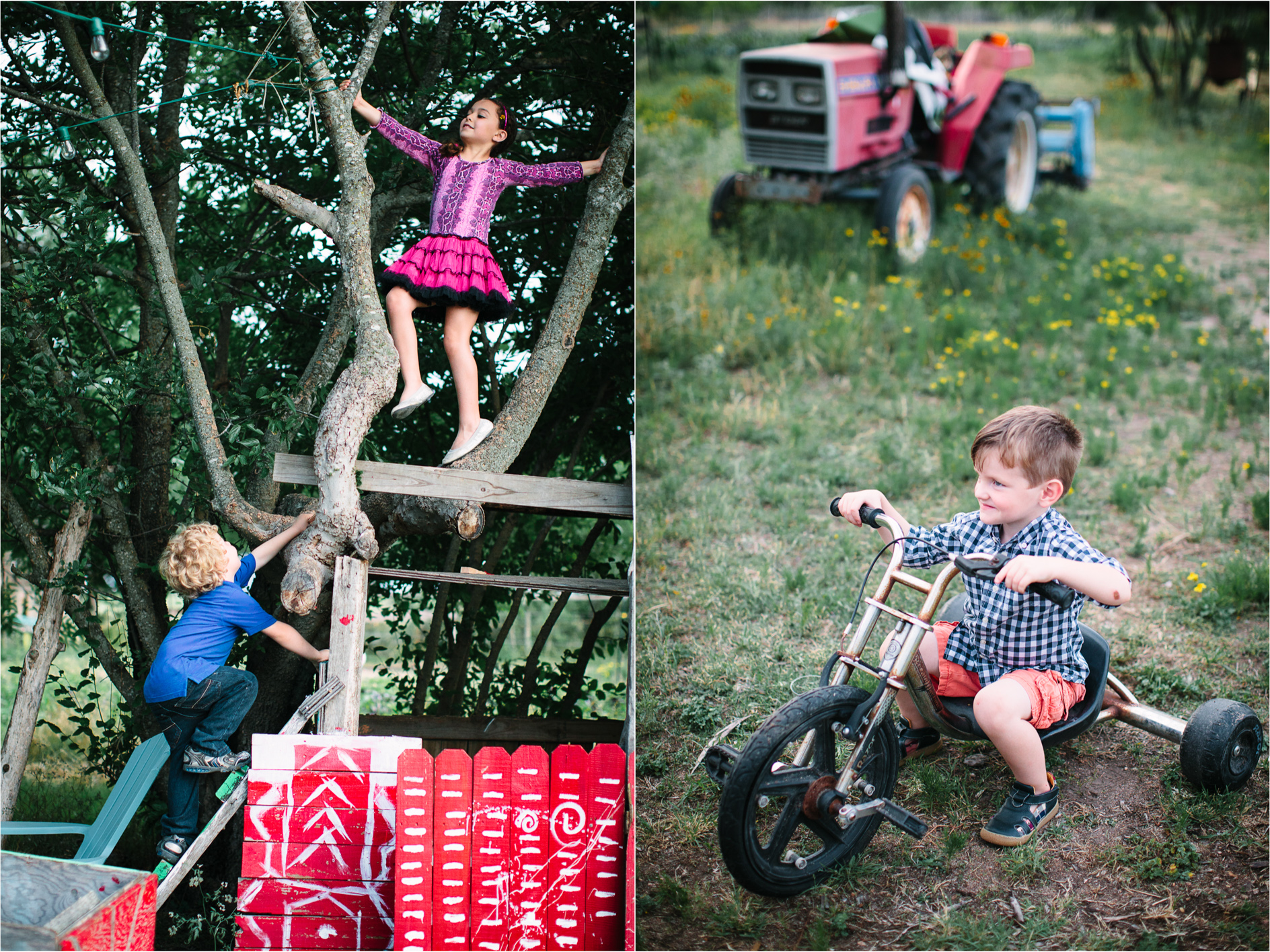 Montana Wedding Photographer