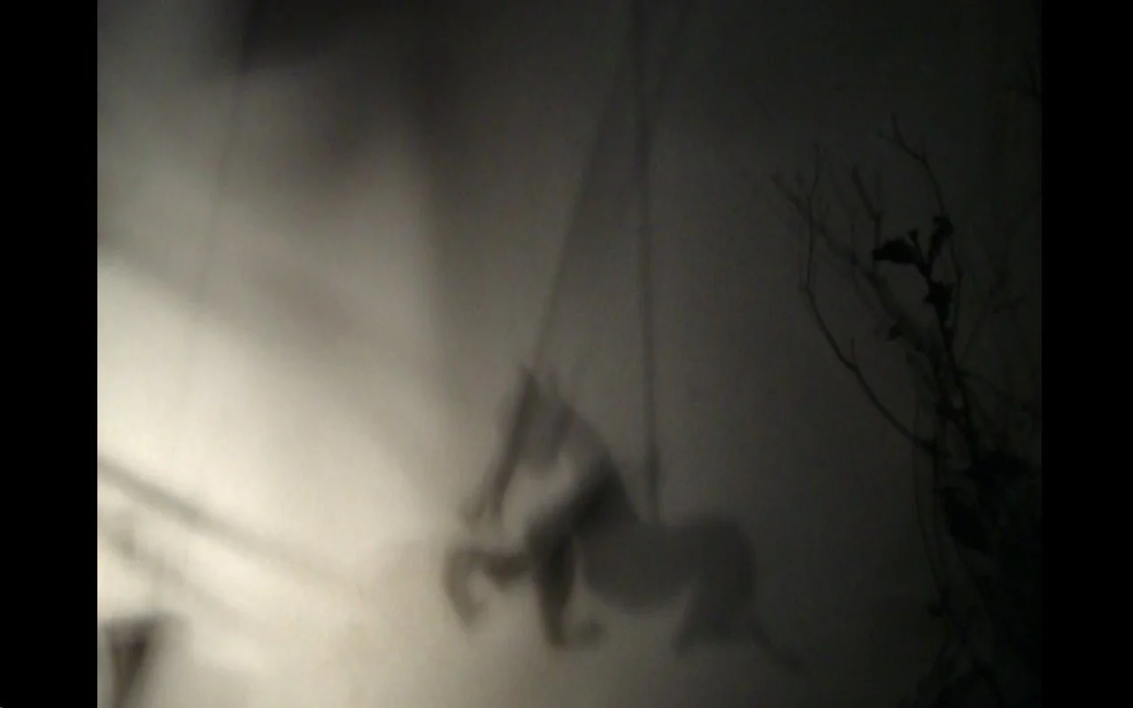 horses5.jpg
