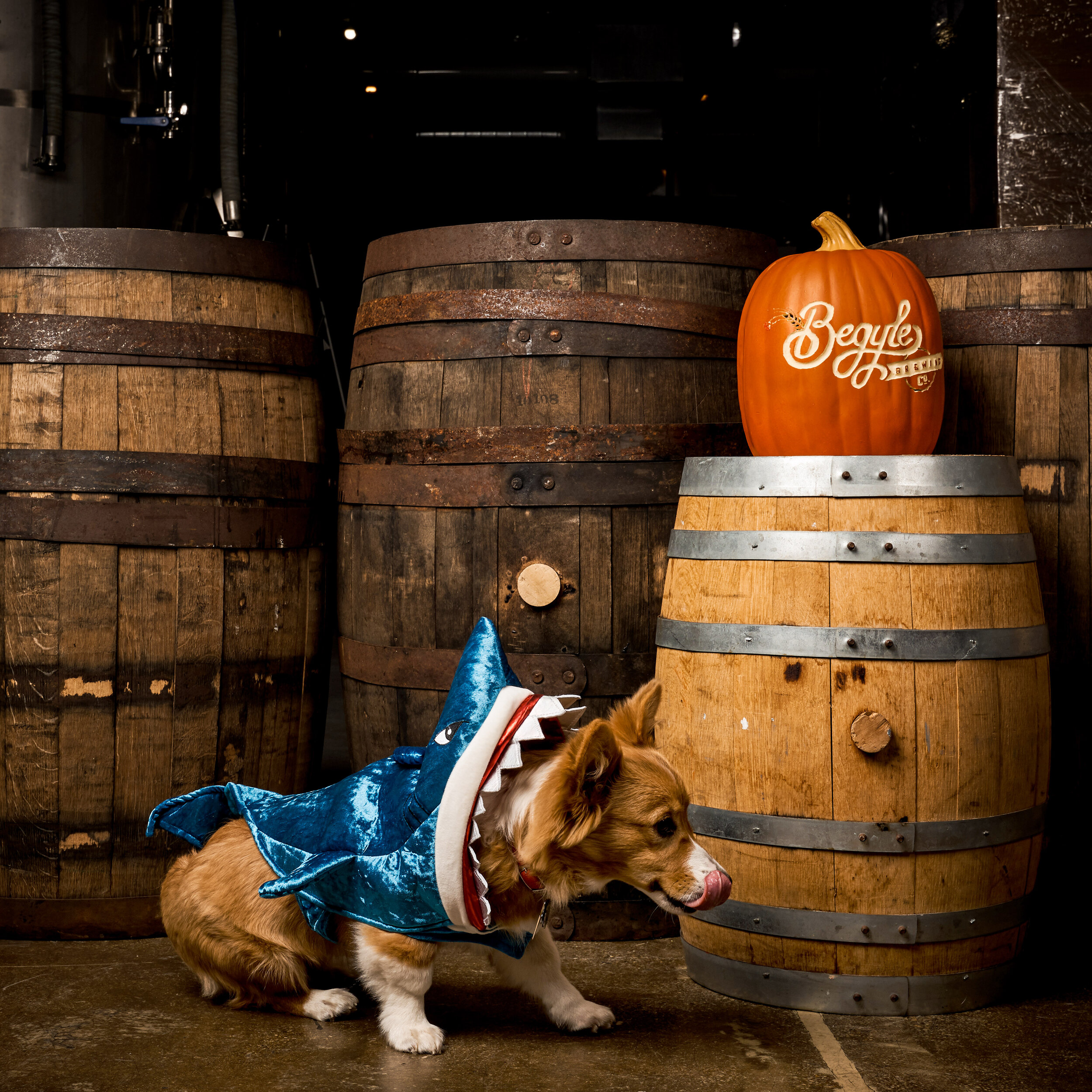 Tuesday_15_0004.jpg