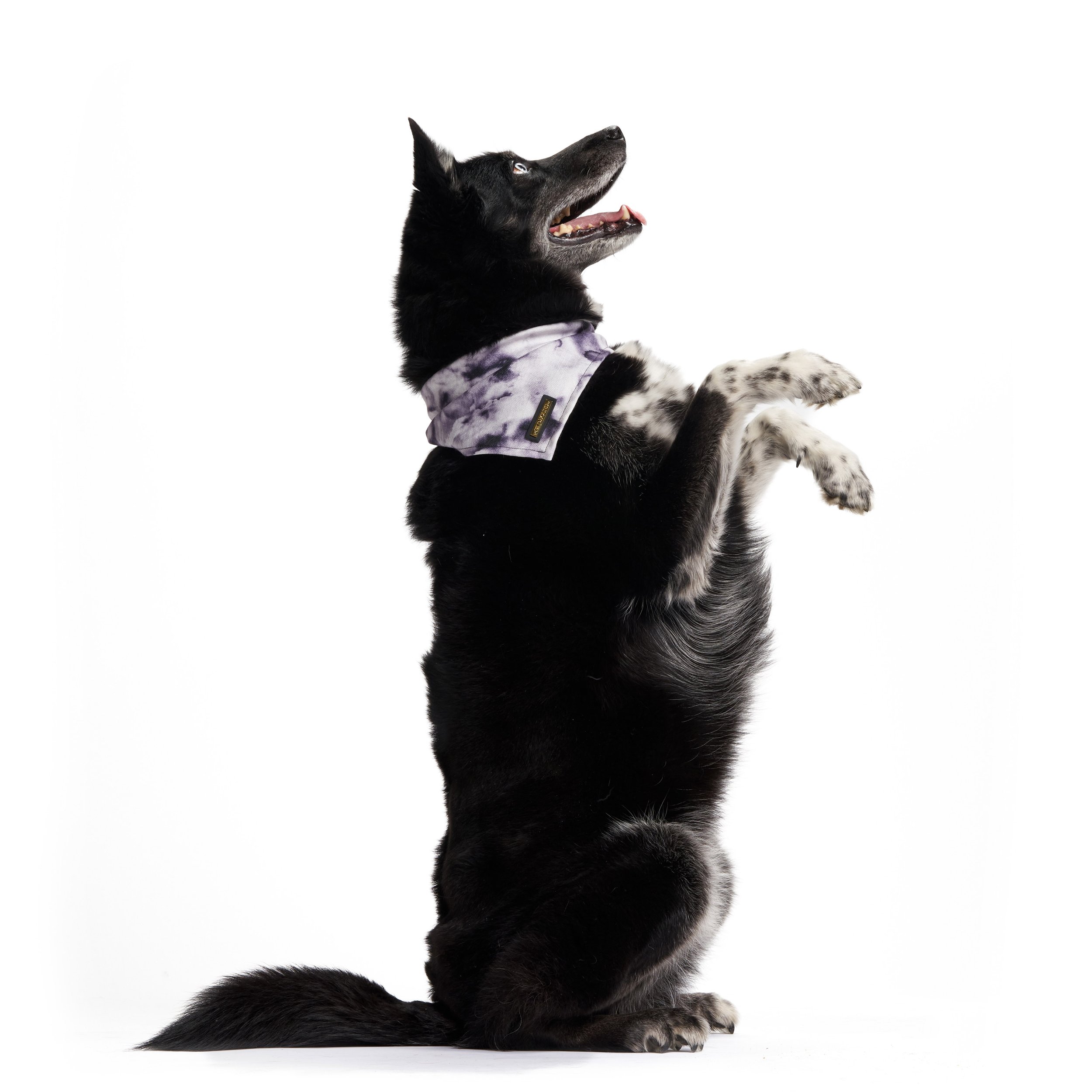 Bodhi_Selects_0012.jpg