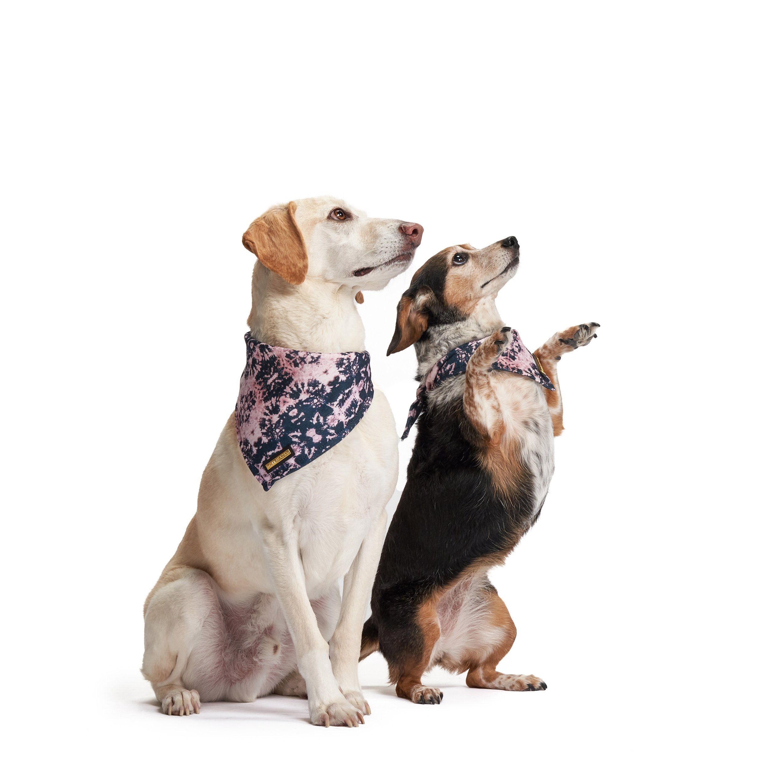 Phoebe_and_John_Selects_0075.jpg