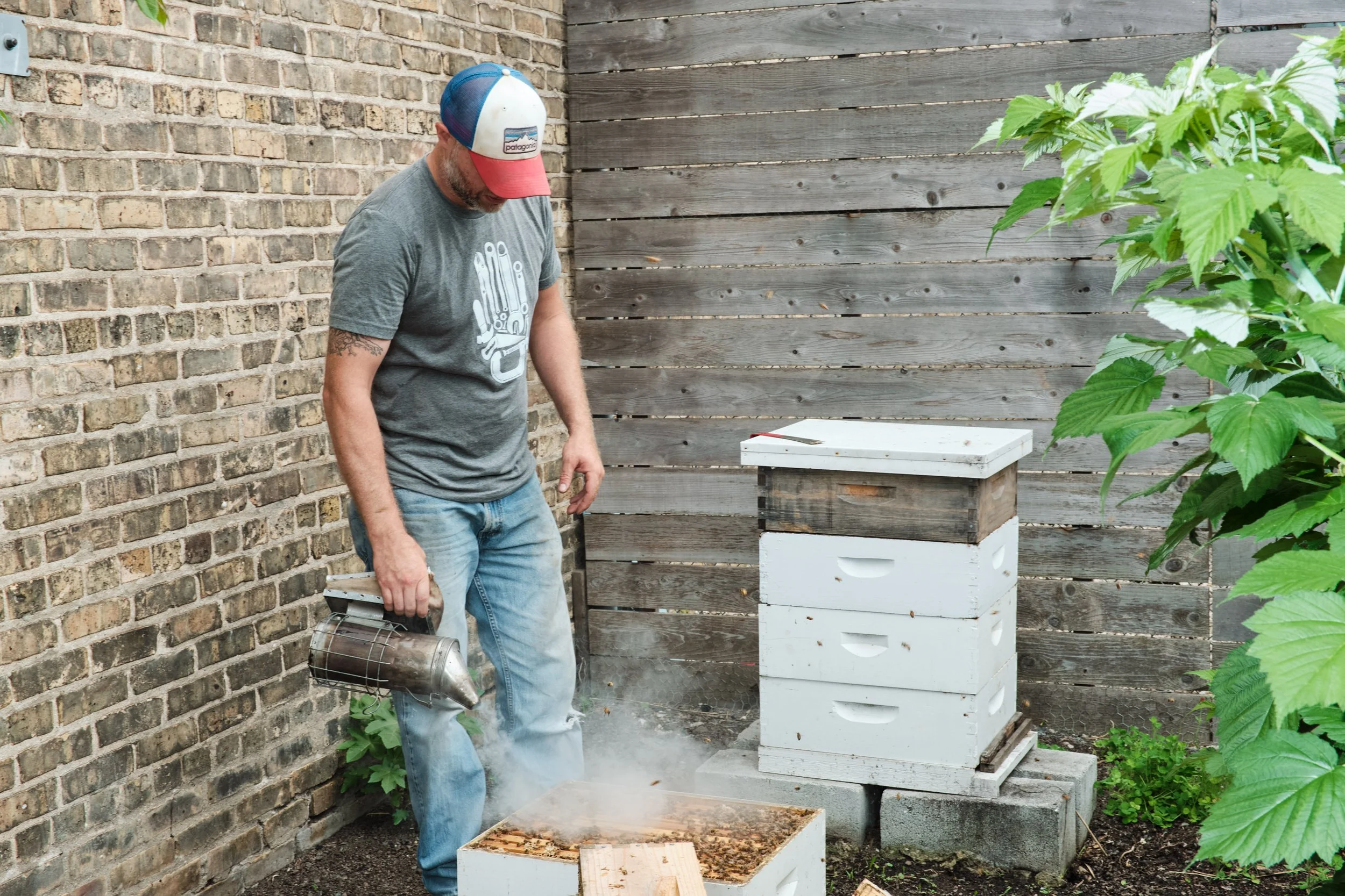 Hive_Supply_03.jpg