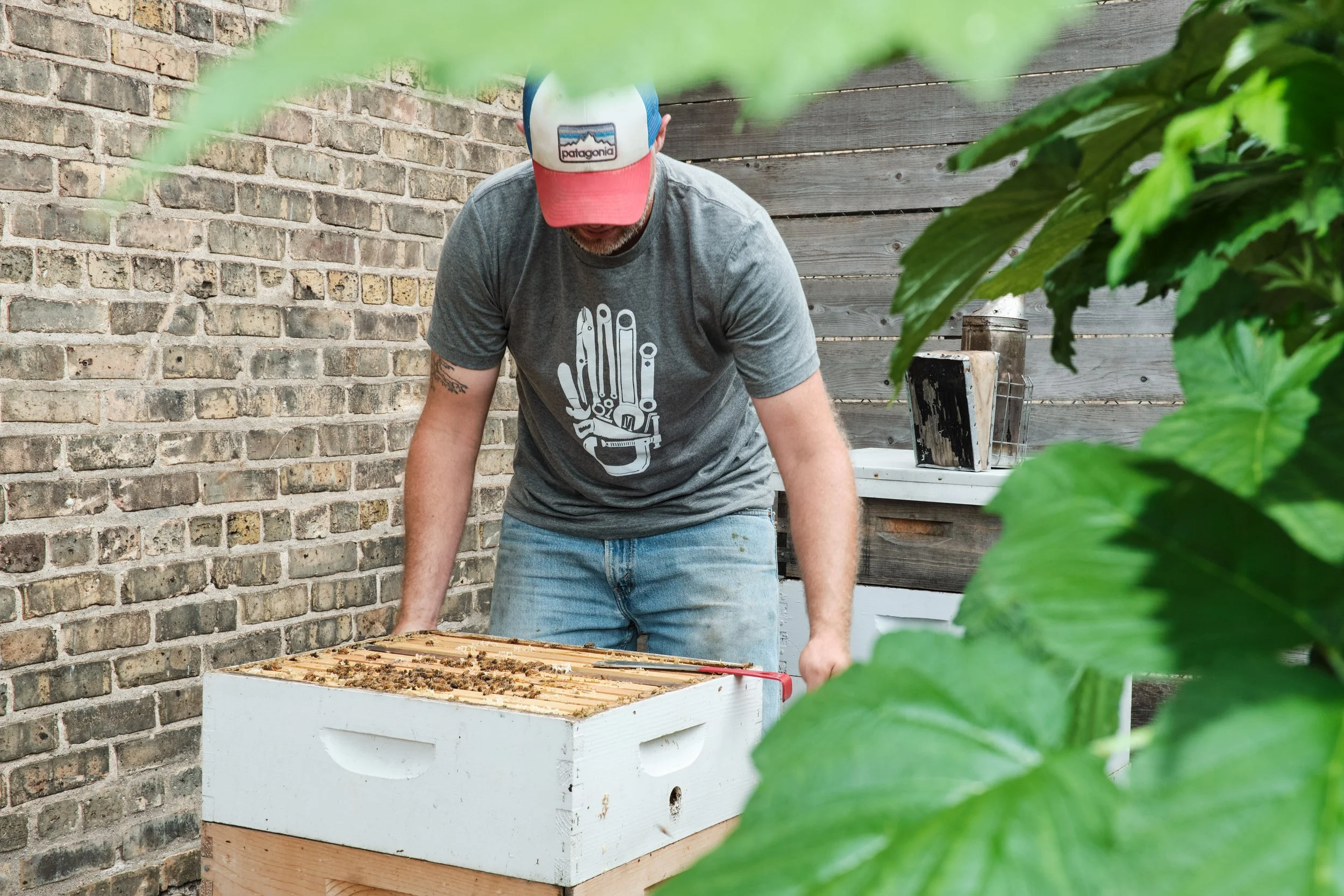 Hive_Supply_05.jpg