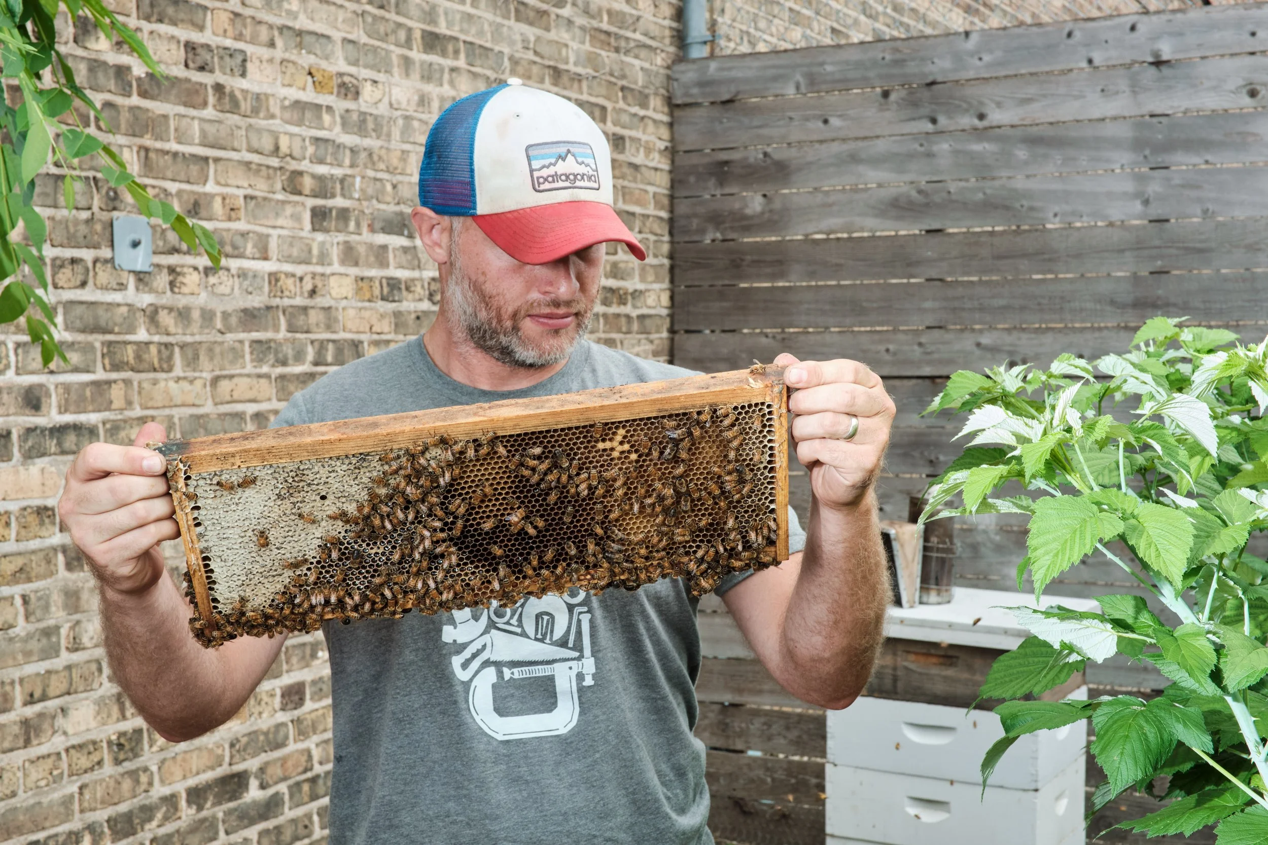 Hive_Supply_06.jpg