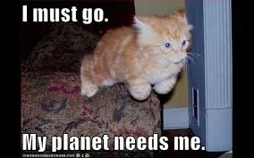 Lolcats