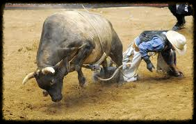 Bull Riding Rrr Traders