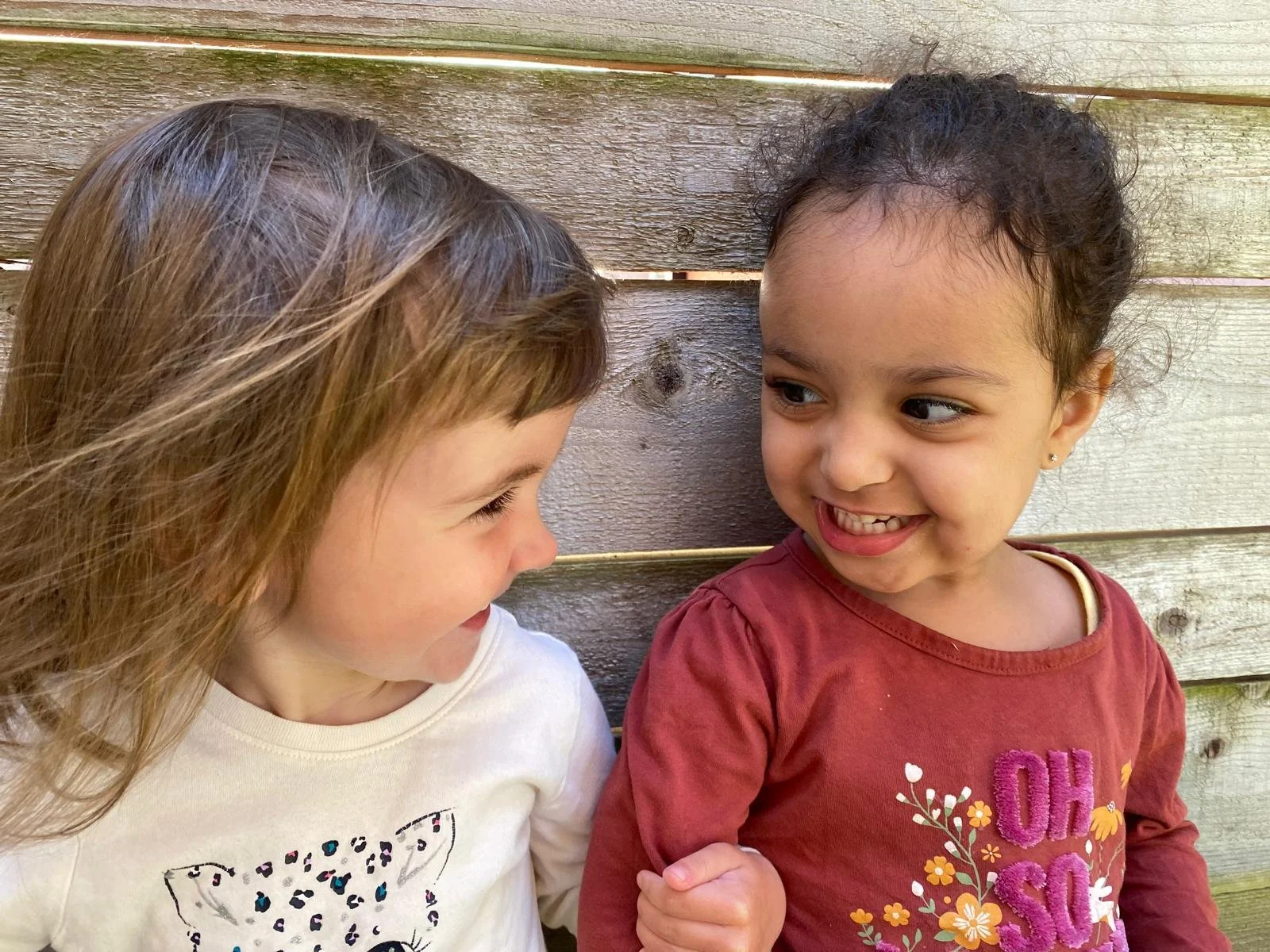 WhatsApp Image 2025-06-19 at 10.29.52.jpeg