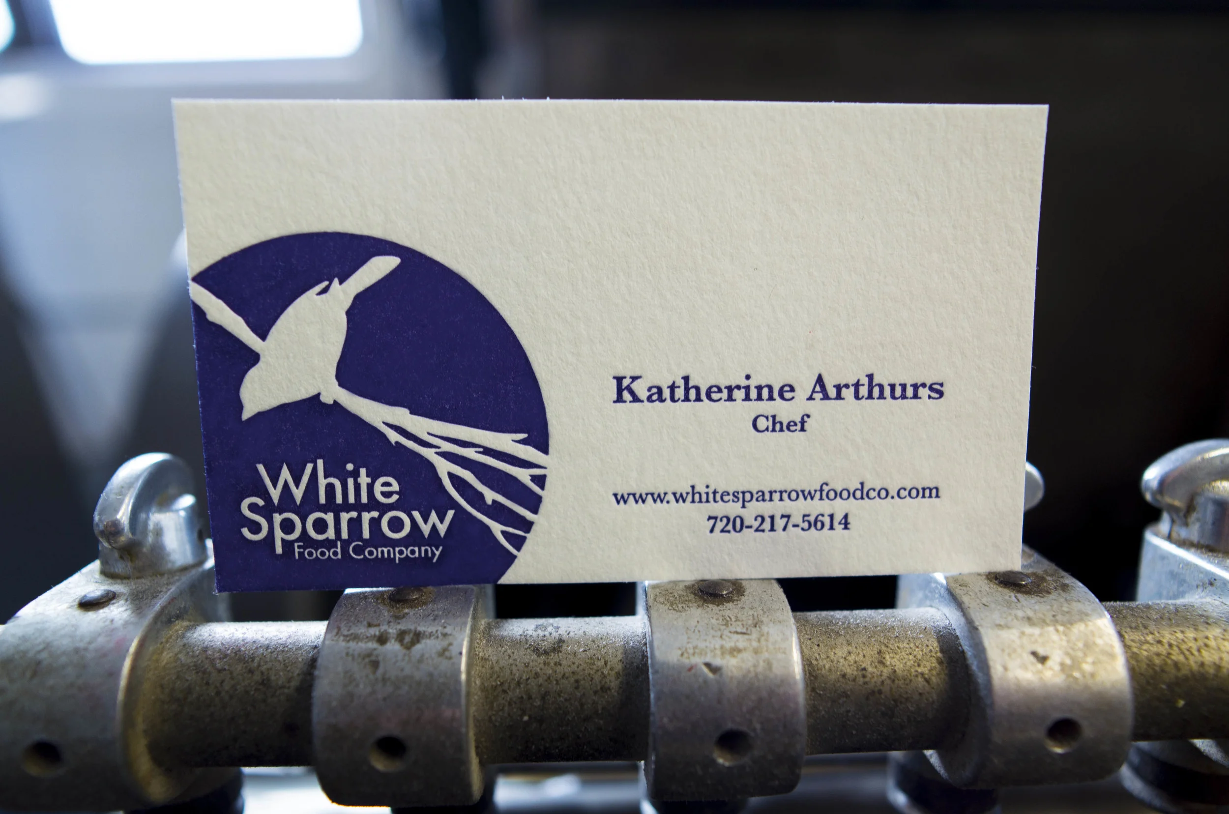 White Sparrow.jpg