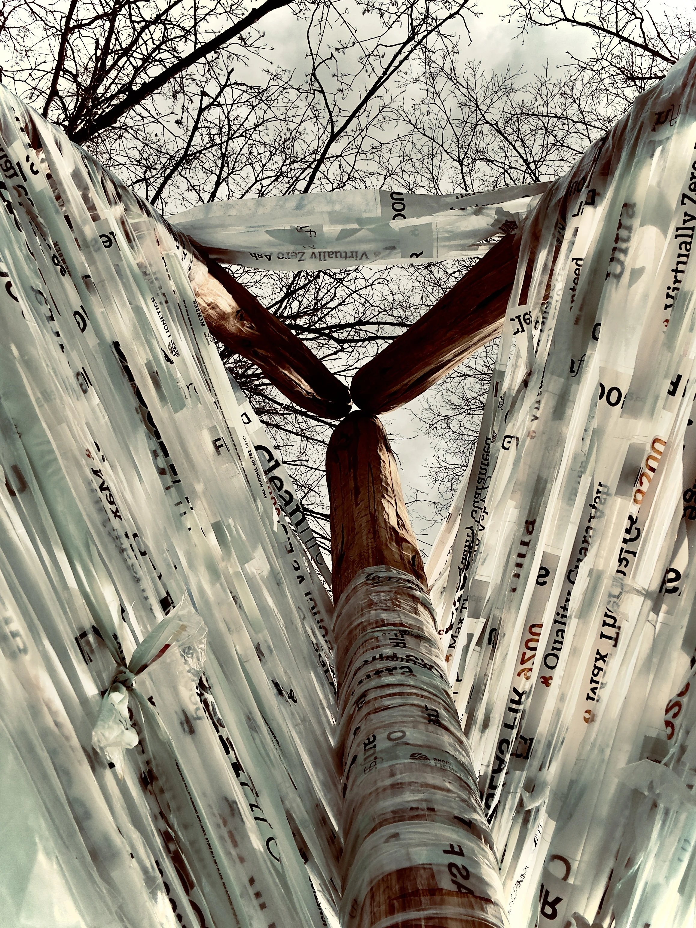 Installation view: Treecycle: Weaving Community