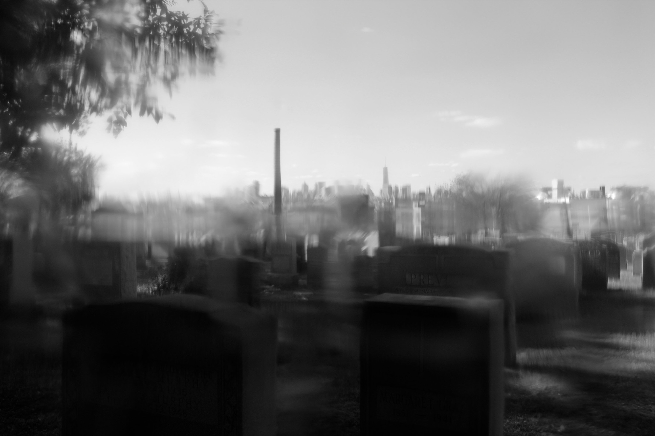  Image captured at the Calgary Cemetery in Queens, NY 2013 while looking through a plastic drinking bottle filter. &nbsp; 