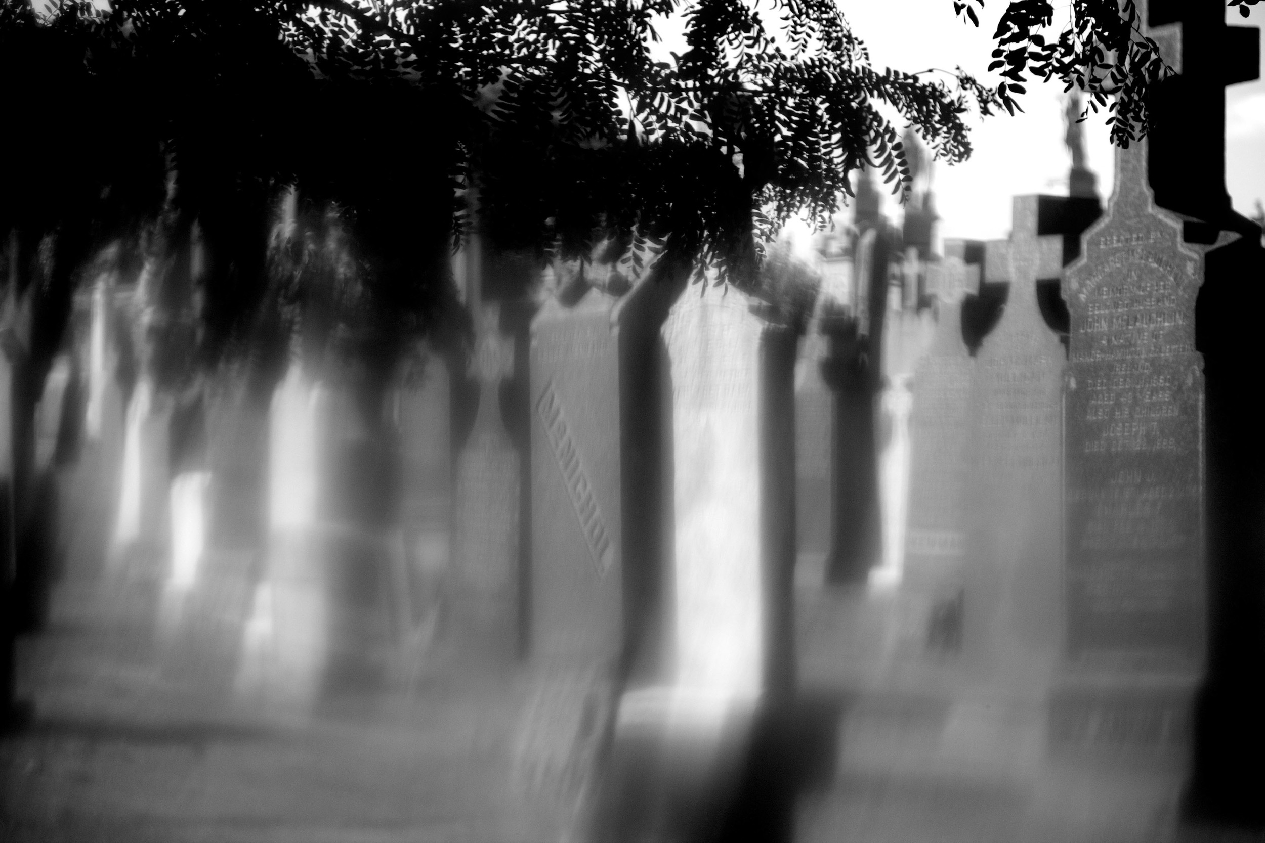  Image captured at the Calgary Cemetery in Queens, NY 2013 while looking through a plastic drinking bottle filter. &nbsp; 