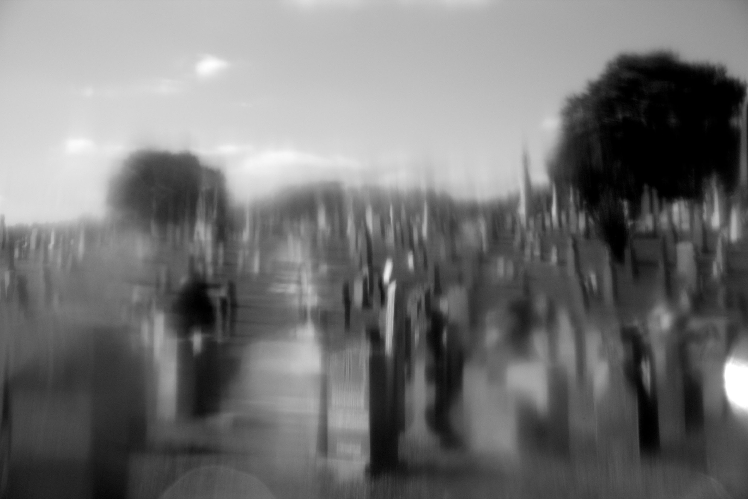   Image captured at the Calgary Cemetery in Queens, NY 2013 while looking through a plastic drinking bottle filter. &nbsp;  