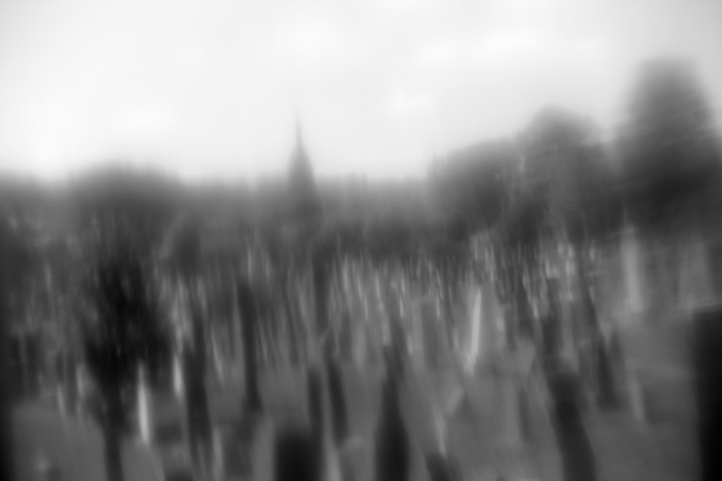  Image captured at the Calgary Cemetery in Queens, NY 2013 while looking through a plastic drinking bottle filter. &nbsp; 