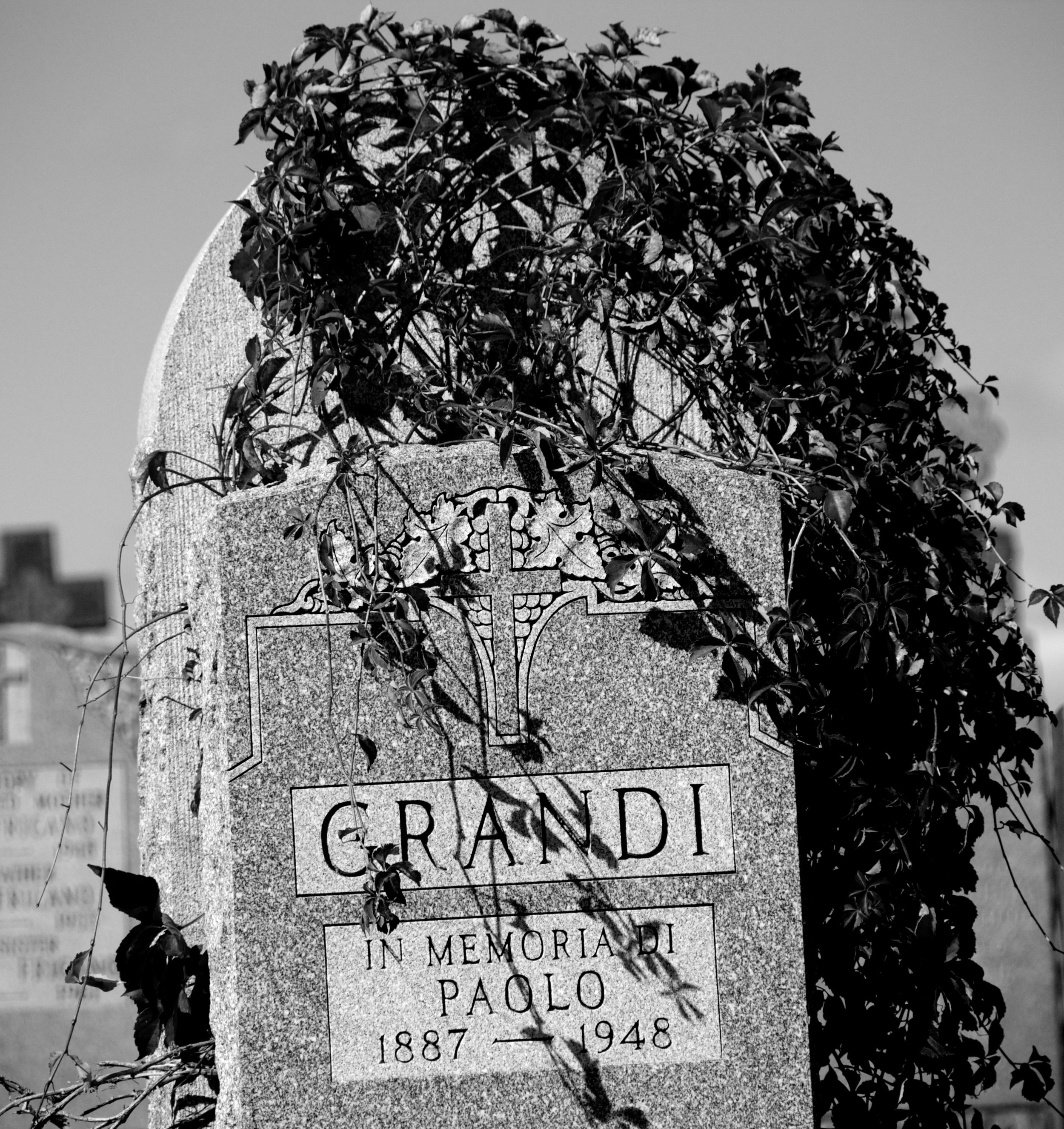  Image captured at the Calgary Cemetery in Queens, NY 2013. &nbsp; 