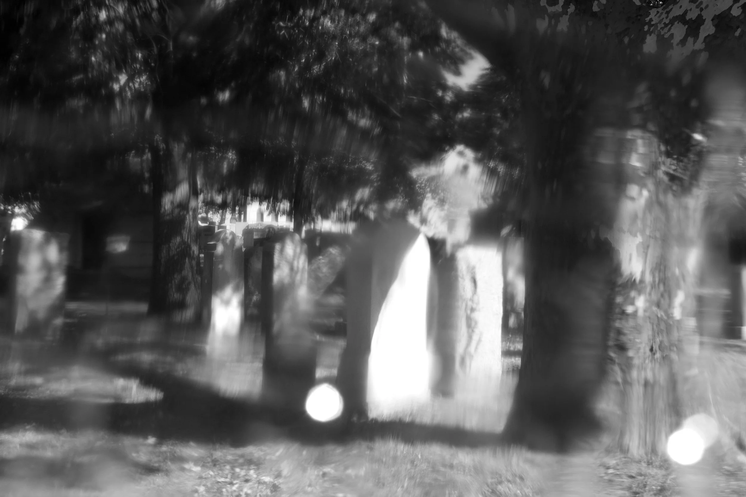 Image captured at the Calgary Cemetery in Queens, NY 2013 while looking through a plastic drinking bottle filter. 