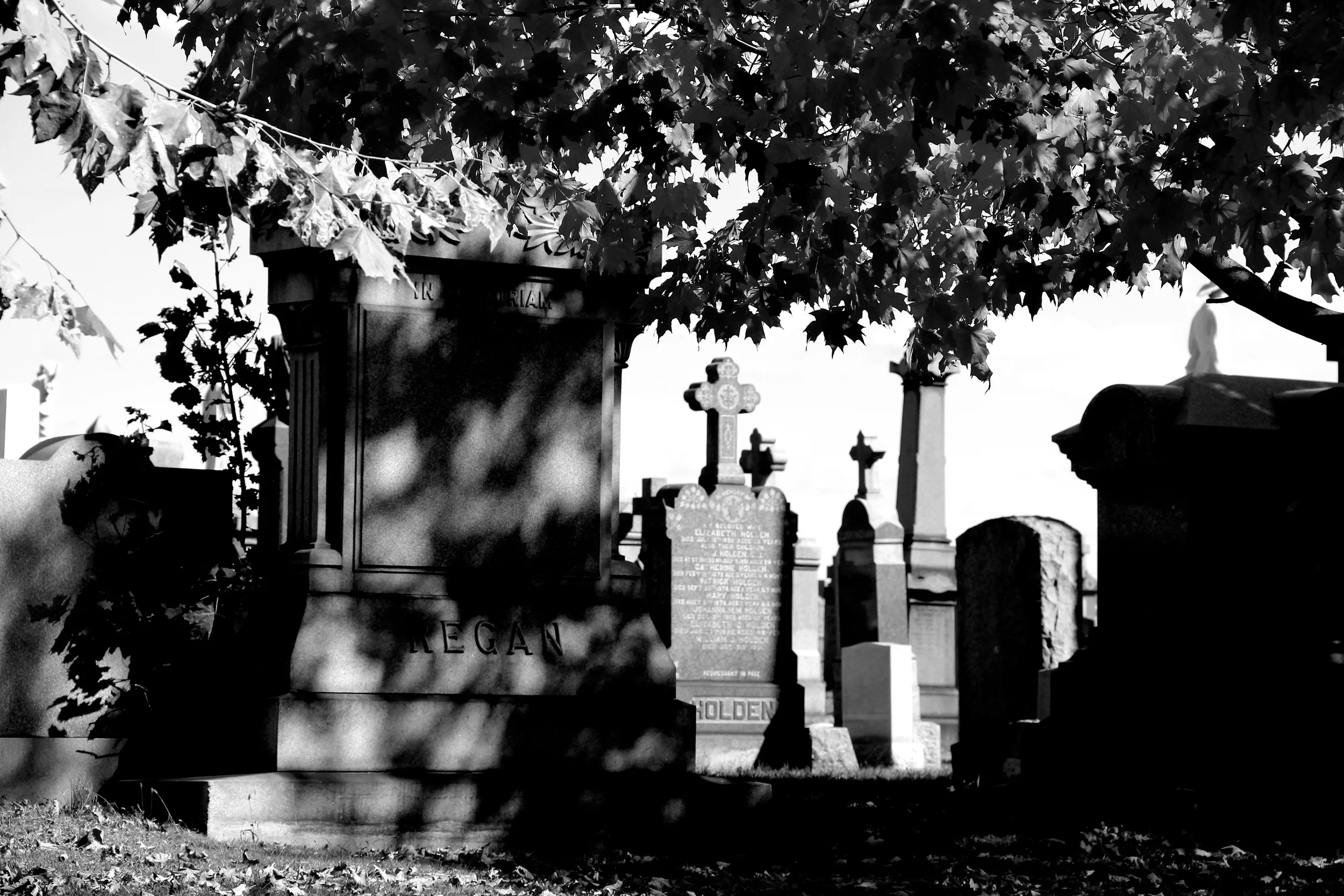 Image captured at the Calgary Cemetery in Queens, NY 2013. 