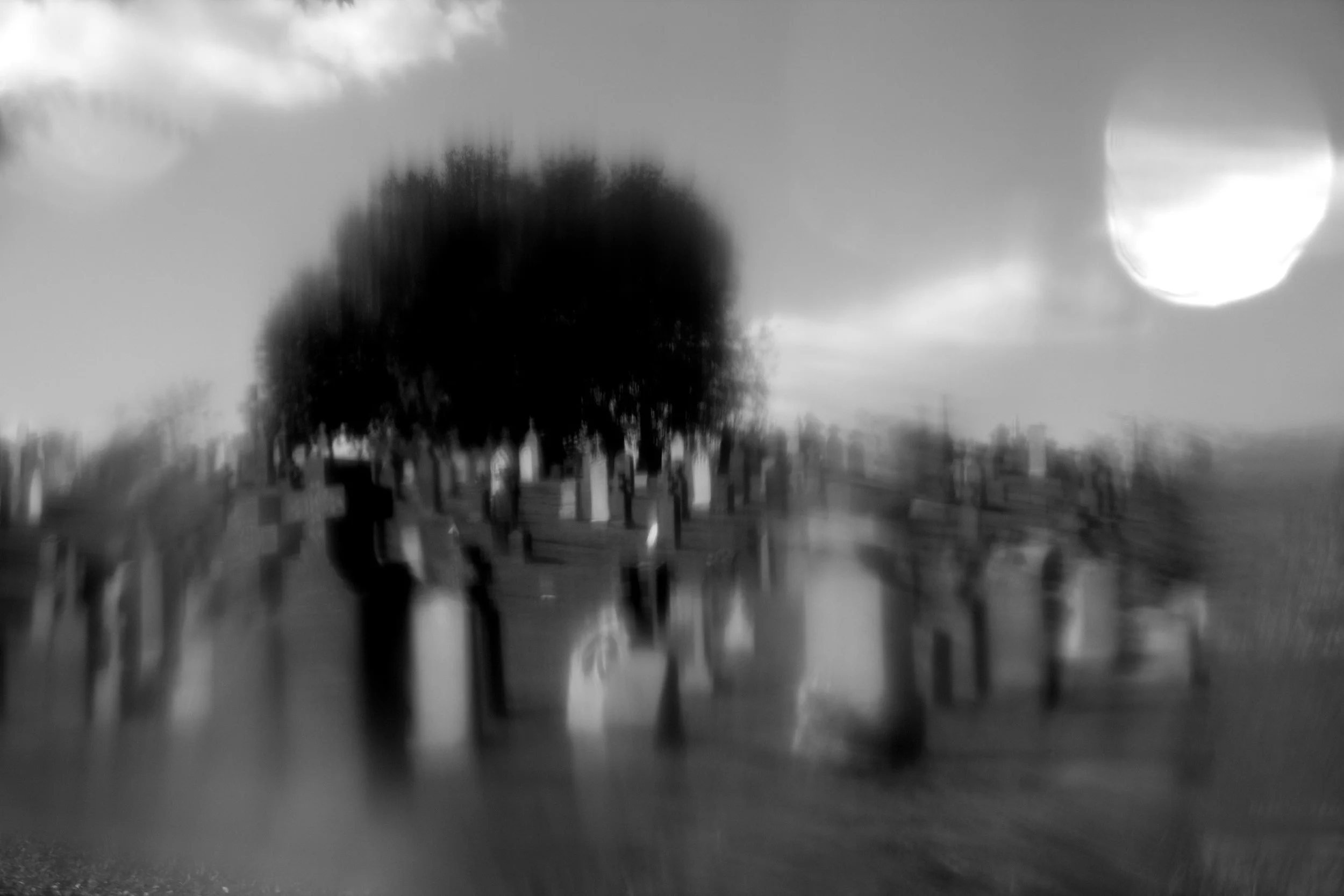 Image captured at the Calgary Cemetery in Queens, NY 2013 while looking through a plastic drinking bottle filter. 