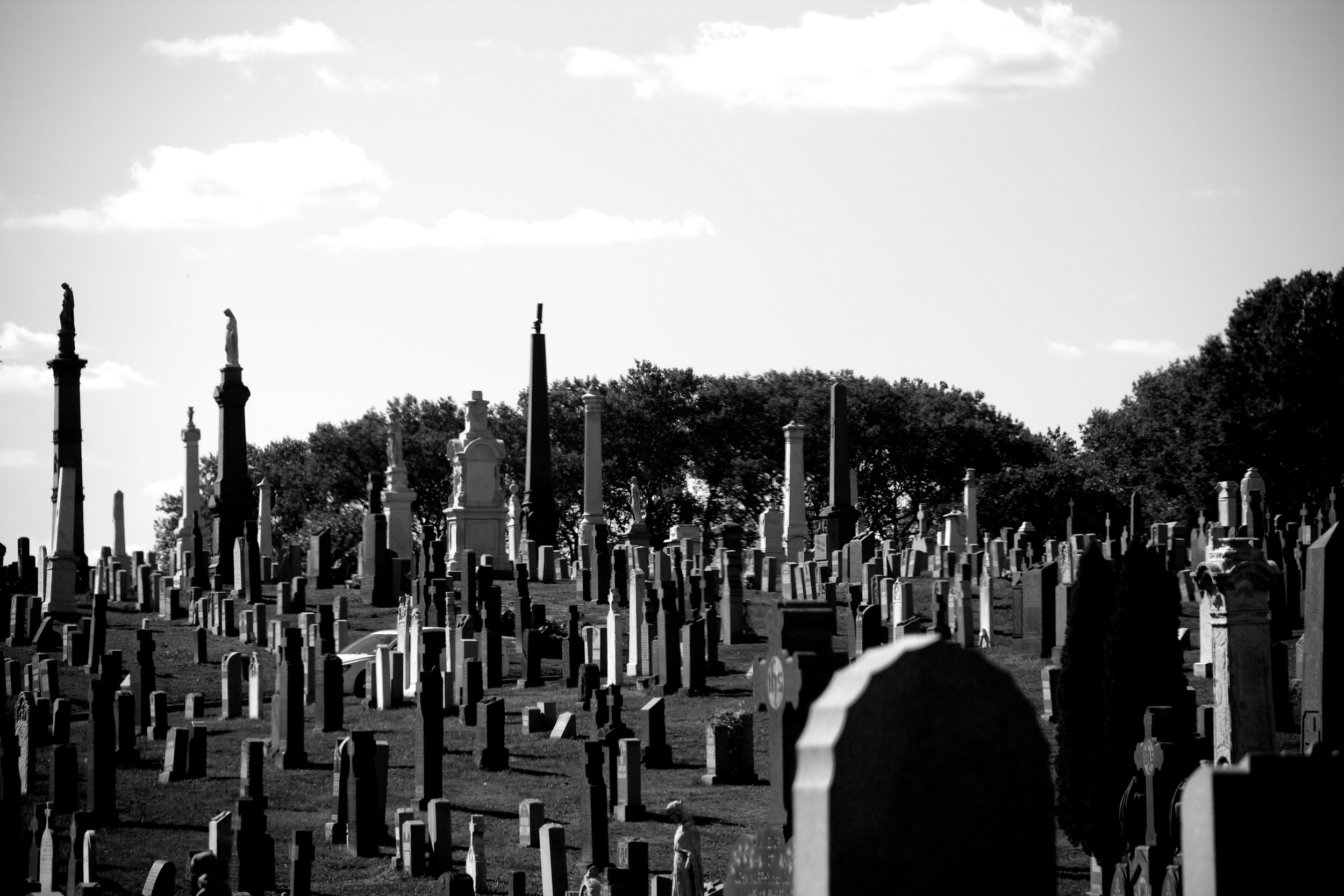  Image captured at the Calgary Cemetery in Queens, NY 2013. &nbsp; 