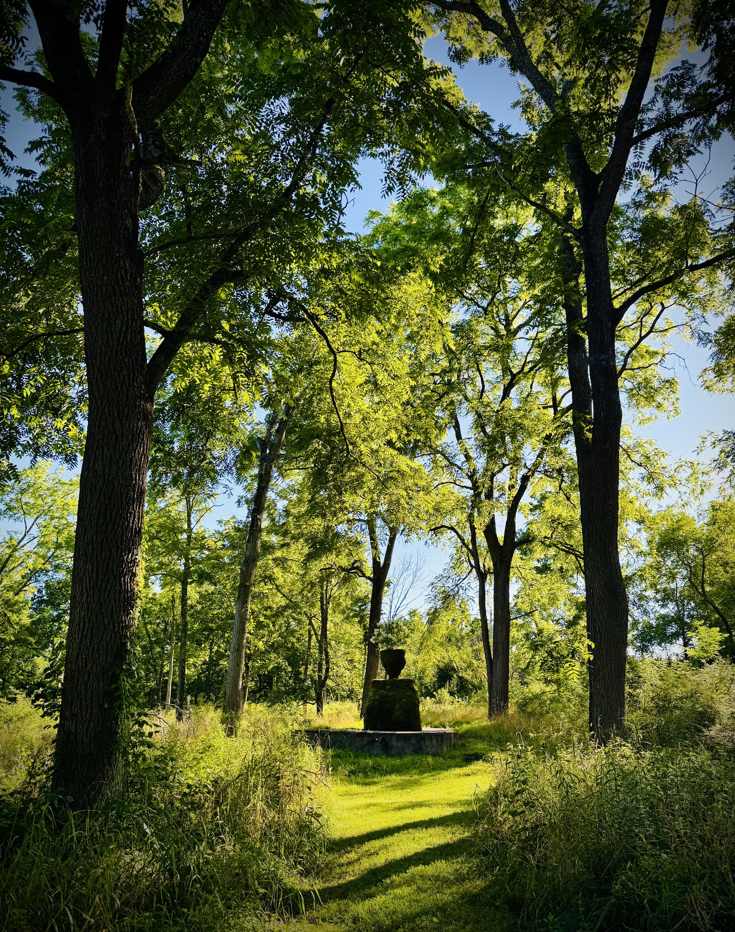 Divine Feminine: ReEmerge 