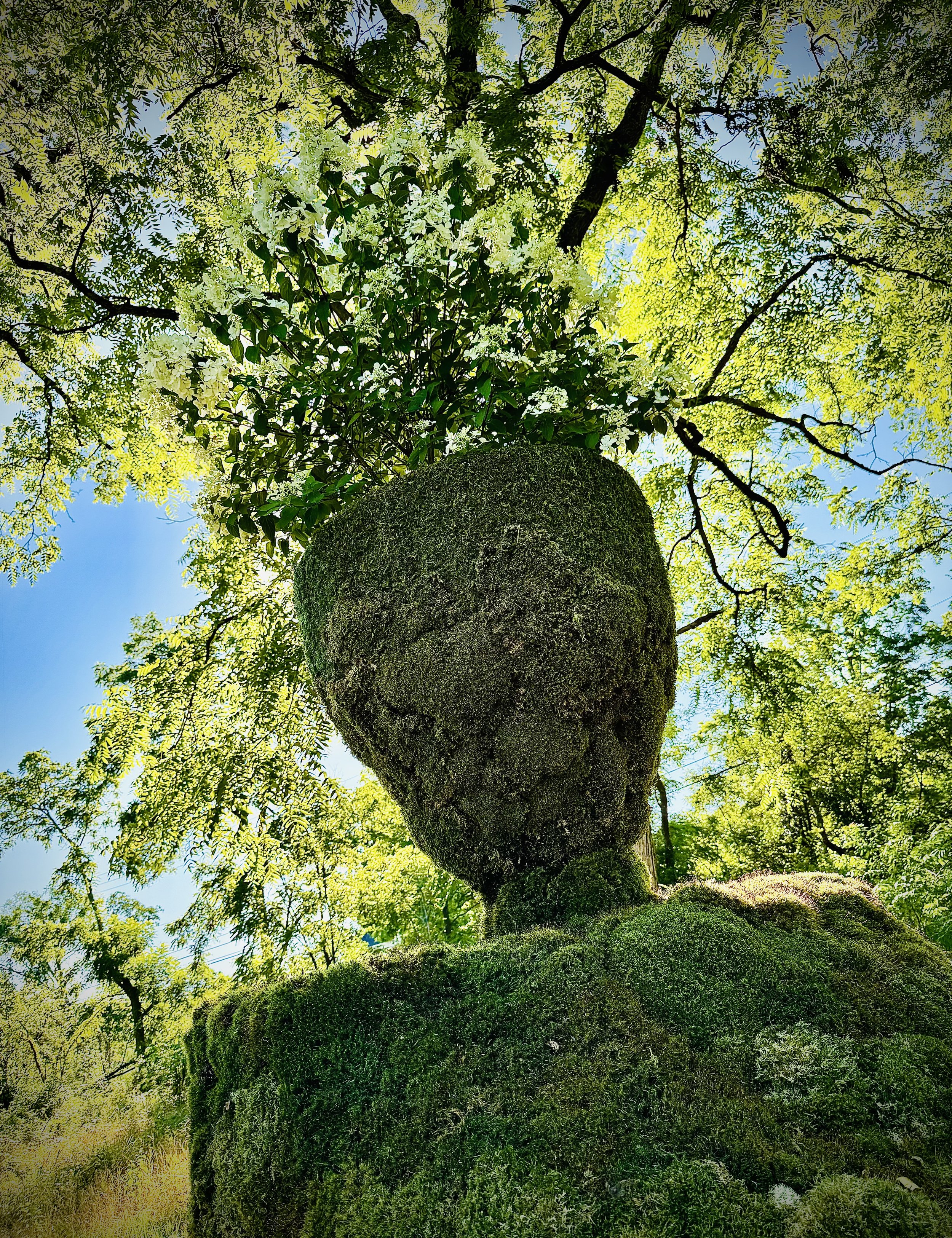 Divine Feminine: ReEmerge