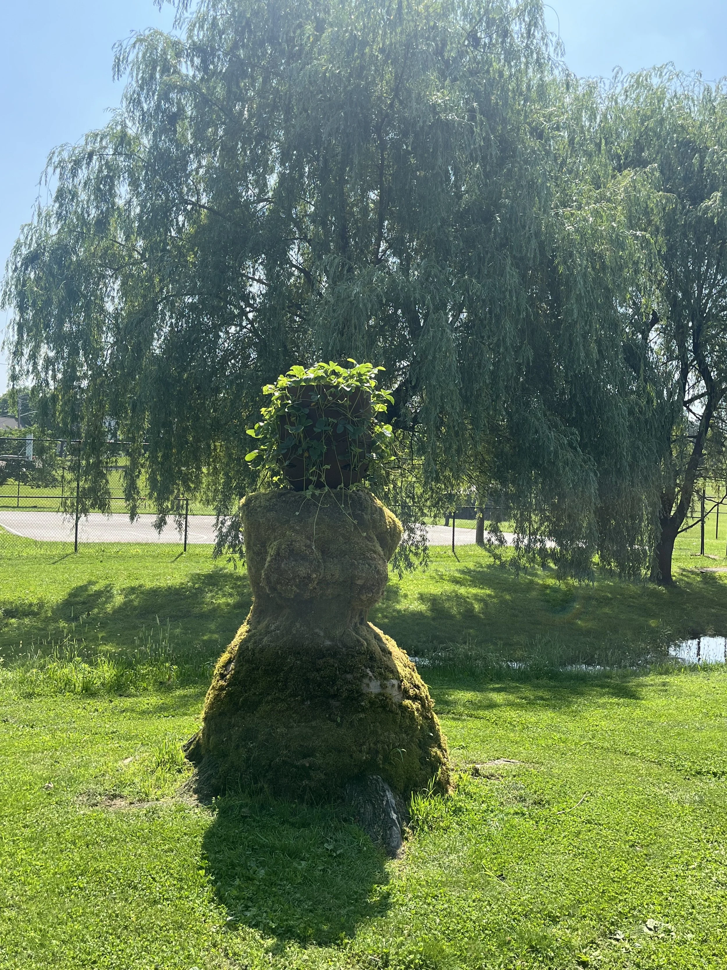 Divine Feminine: Feeding Nature (full bloom) 