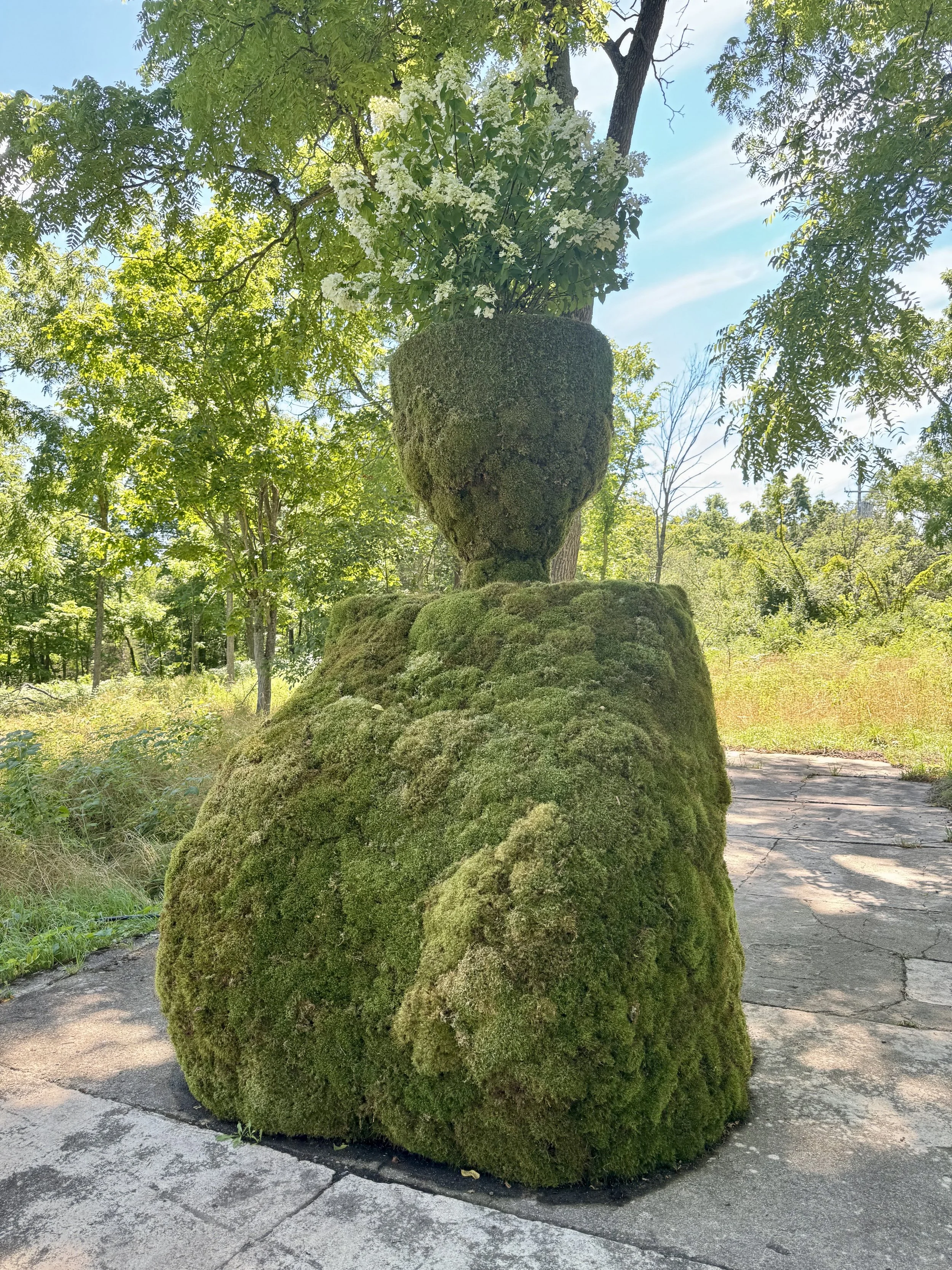 Divine Feminine: ReEmerge