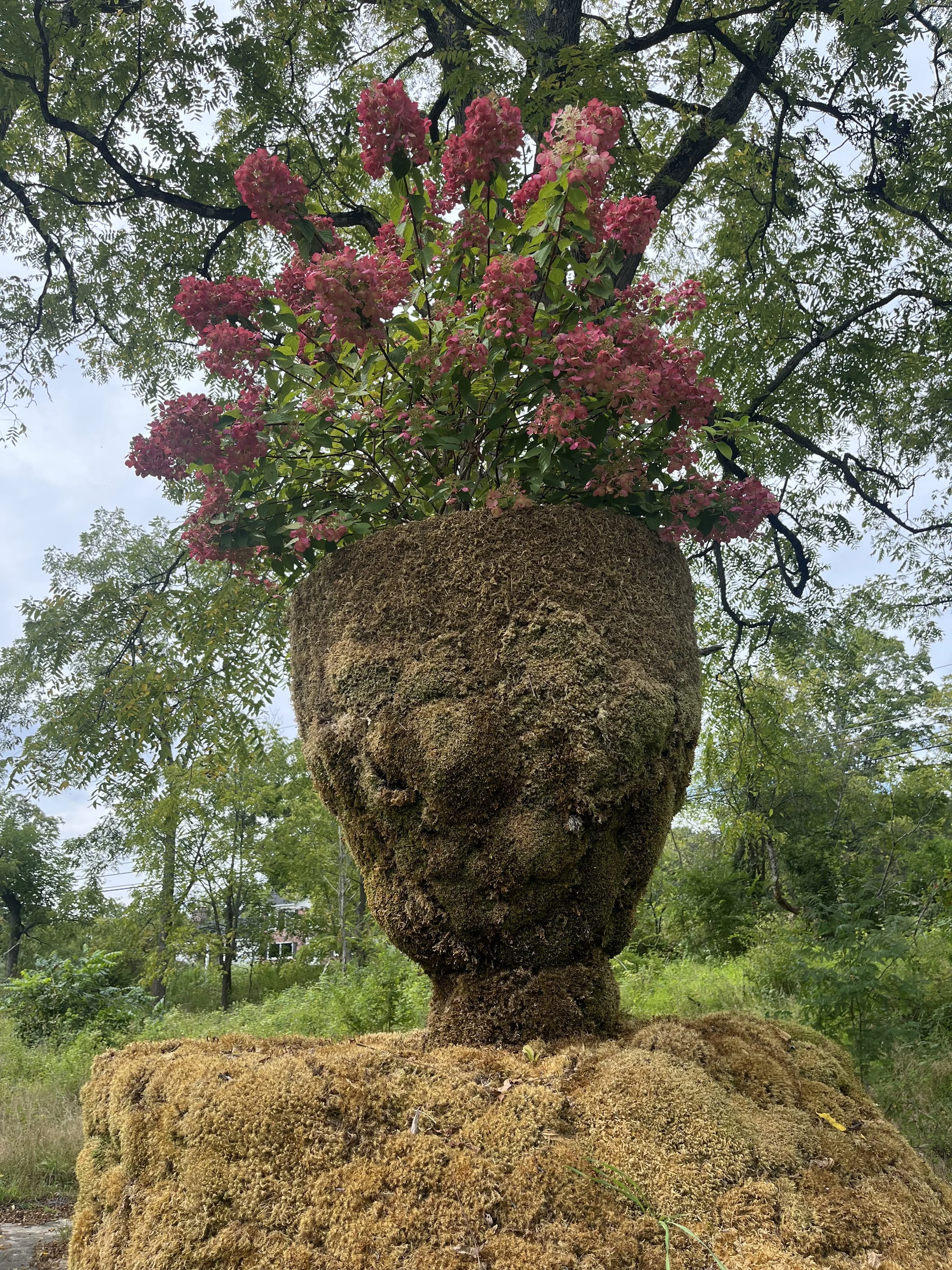 Divine Feminine:ReEmerge (later in the season)