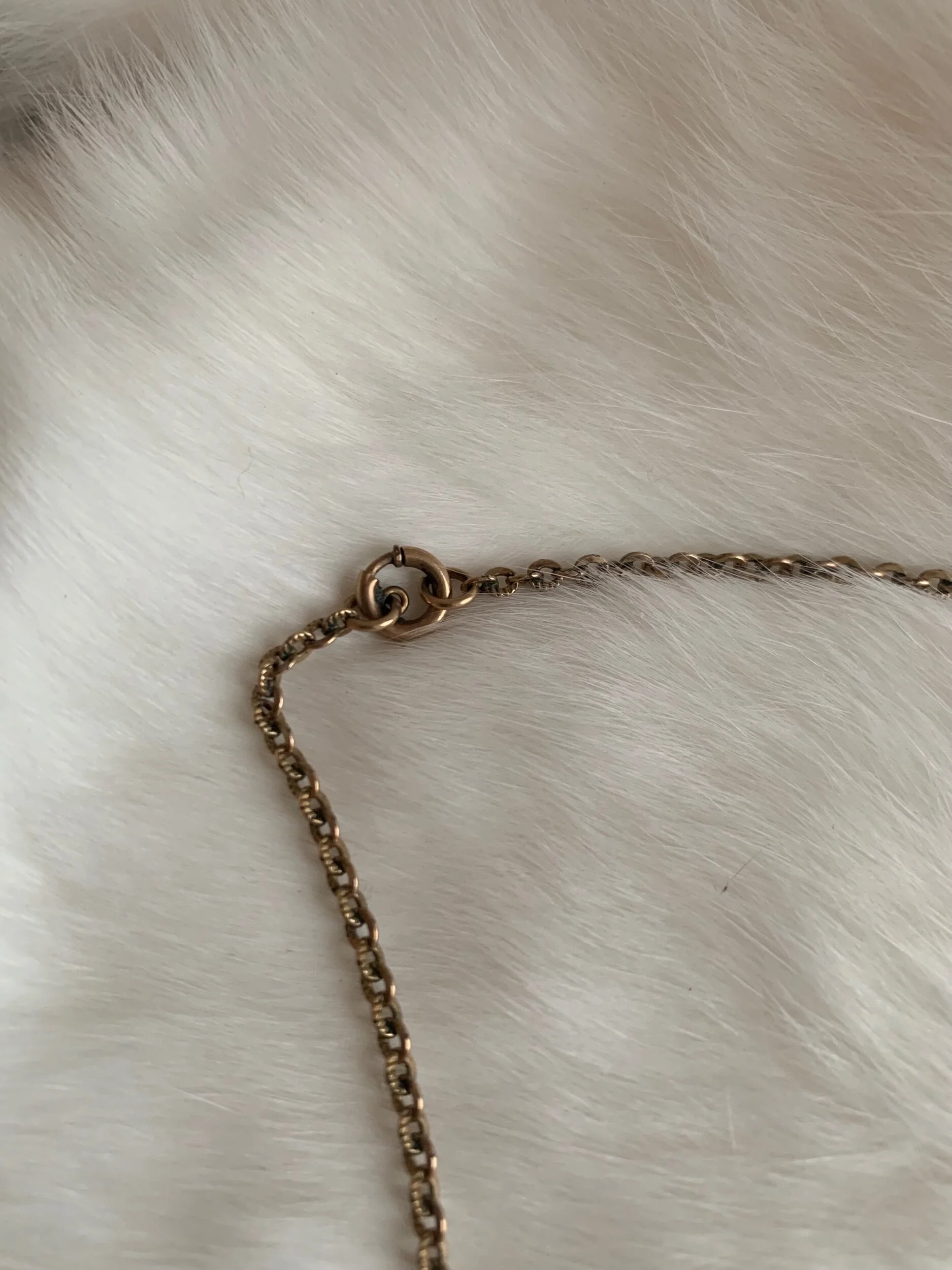 019CB5F4-61E5-4EC3-A9EB-45AA7F0B6CB9