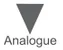 ana1.jpg