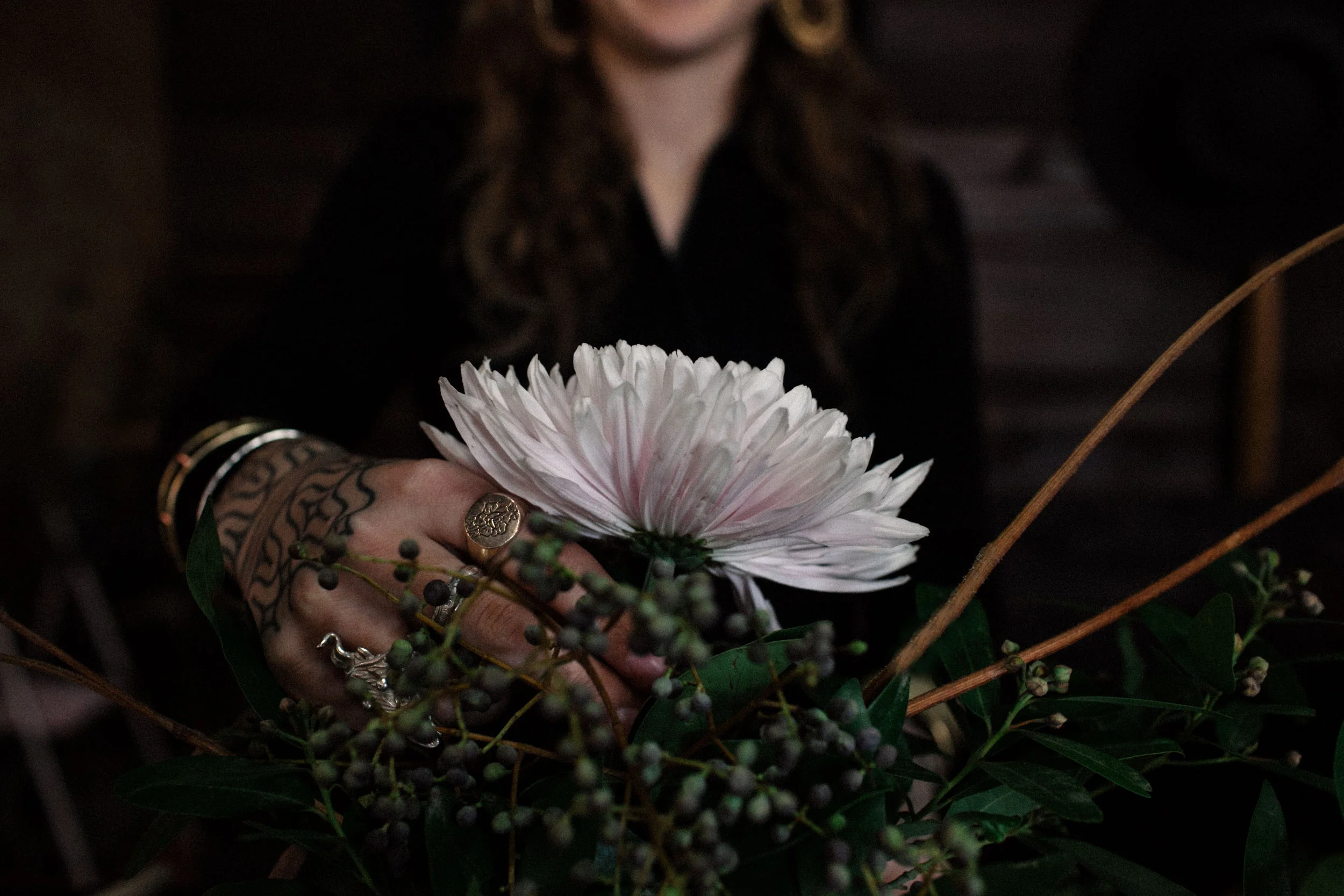 DeFilippo_SacredThistle_2.jpg