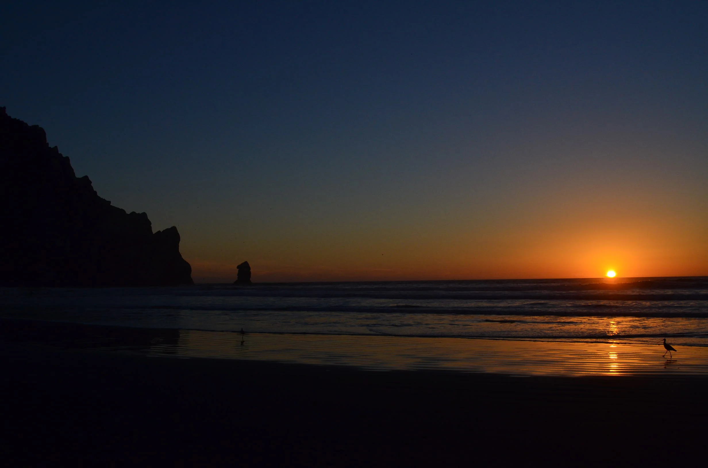 DSC_3512.JPG