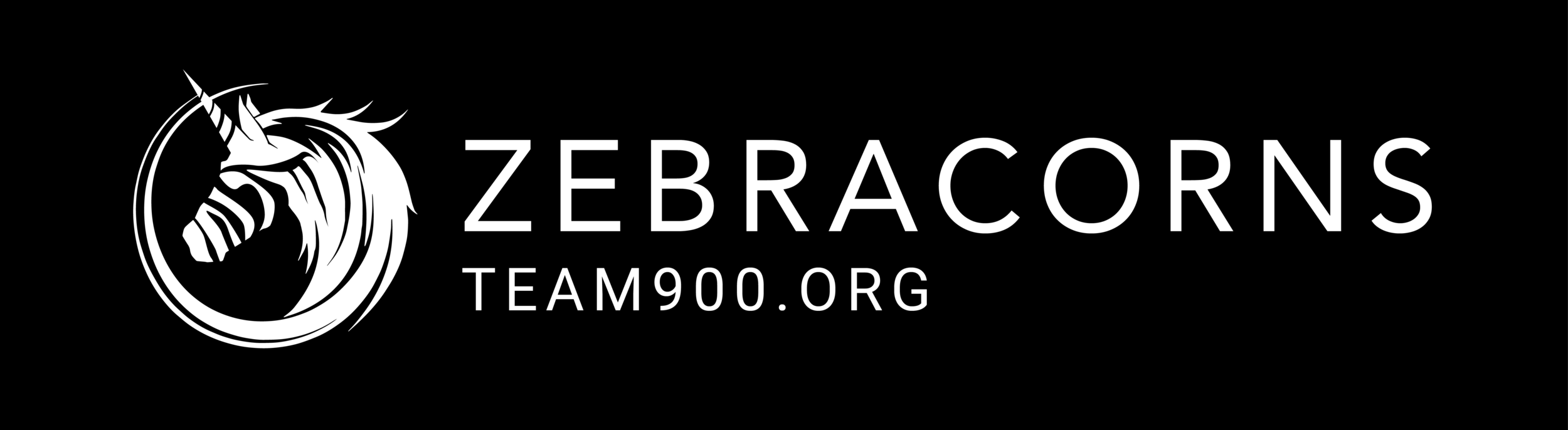 Logo-TEAM900ORG-Black.png