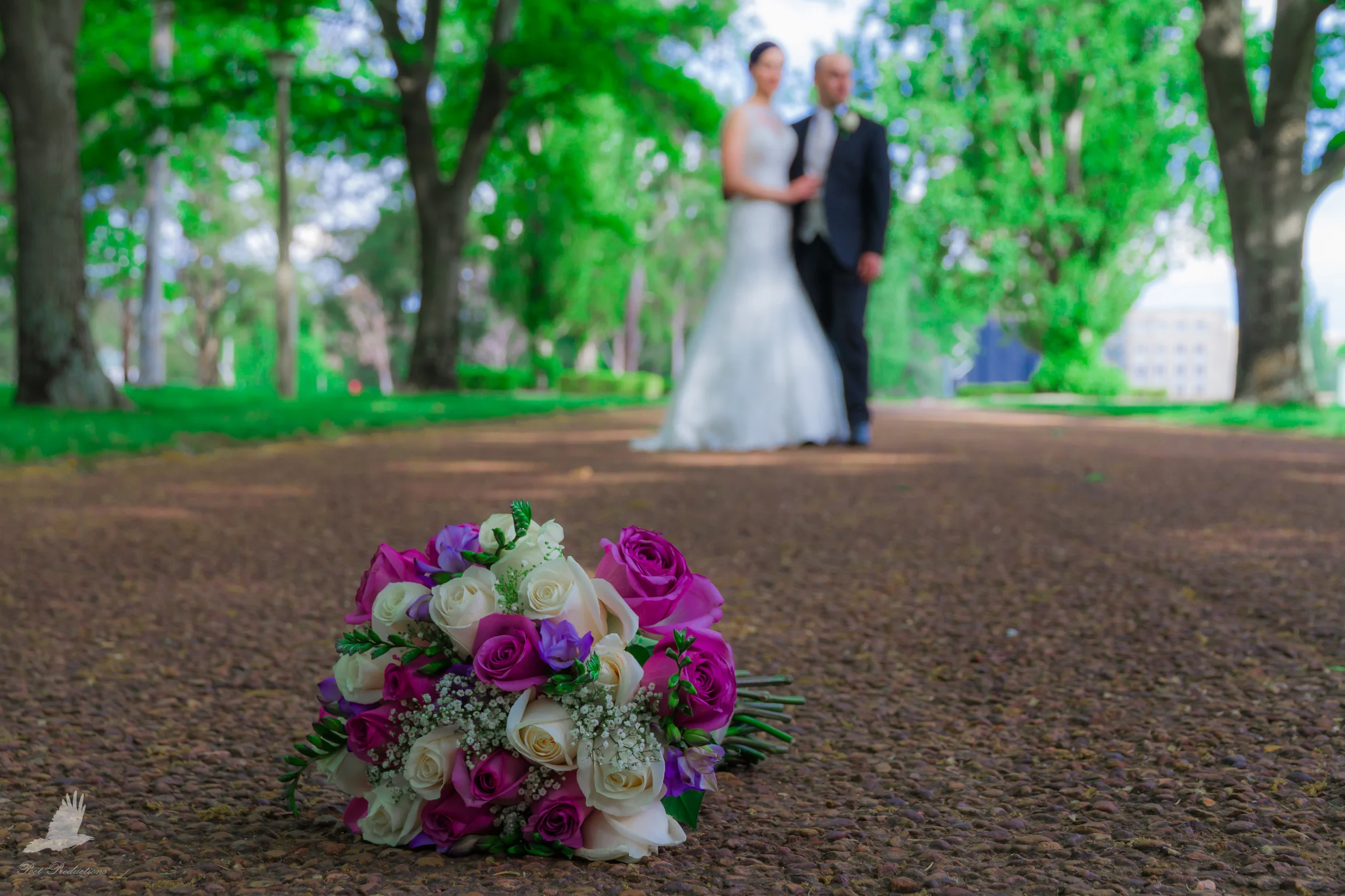 Kate & Peter Wedding 2014.10.25-253.jpg