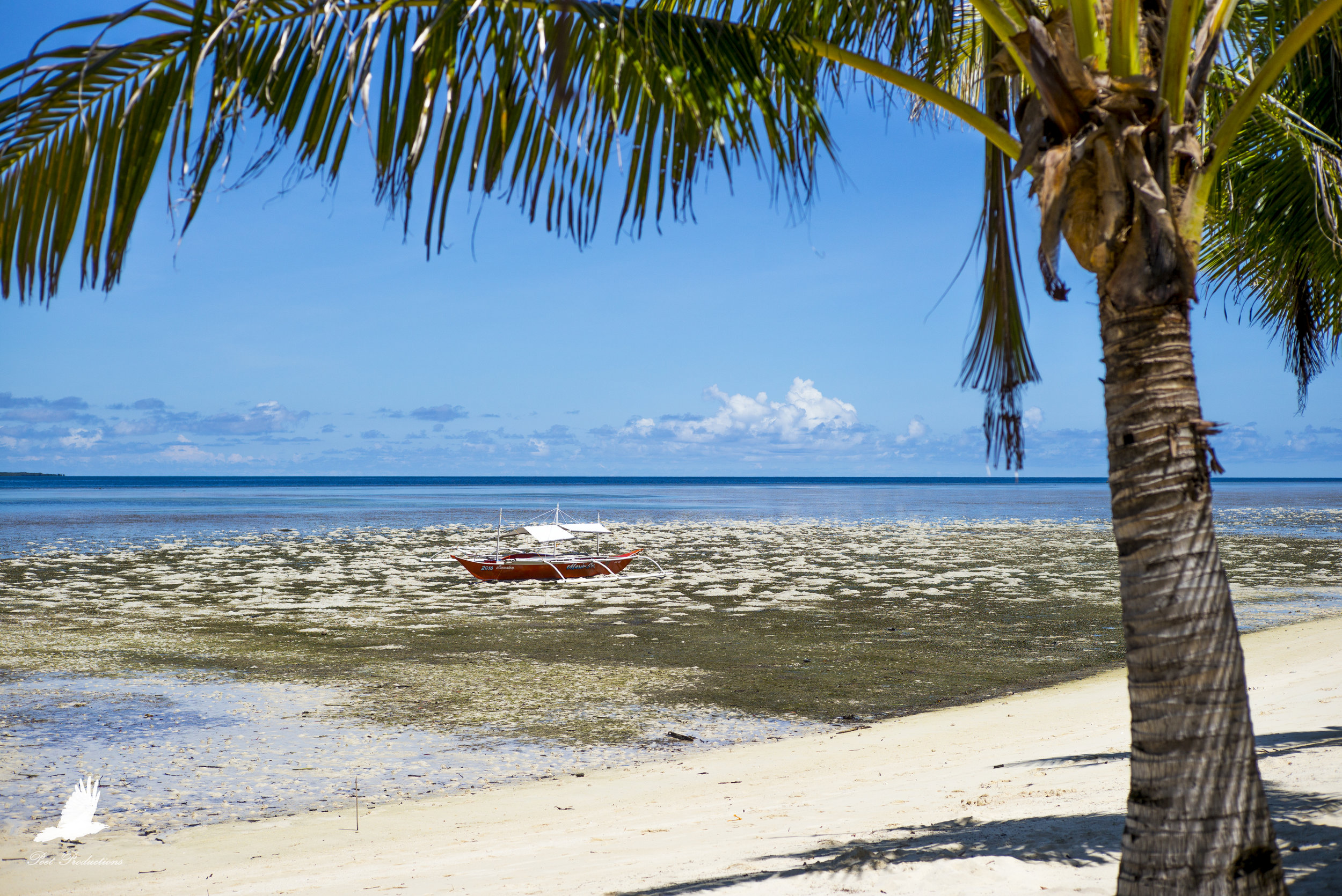 Palawan, Honda Bay, Pandan Island