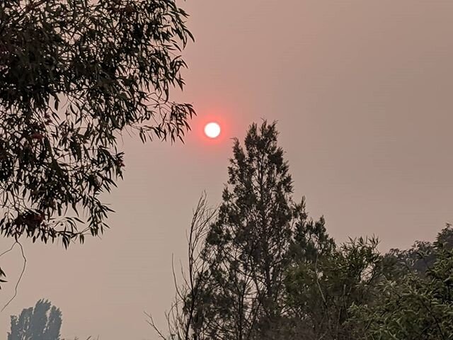 The fires are getting closer to Queanbeyan and the smoke is thickening, which means the fires are getting closer to Parliament. The Molonglo RFS are taking a break at the Queanbeyan McDonalds after a full day fighting fires just past the valley. The 