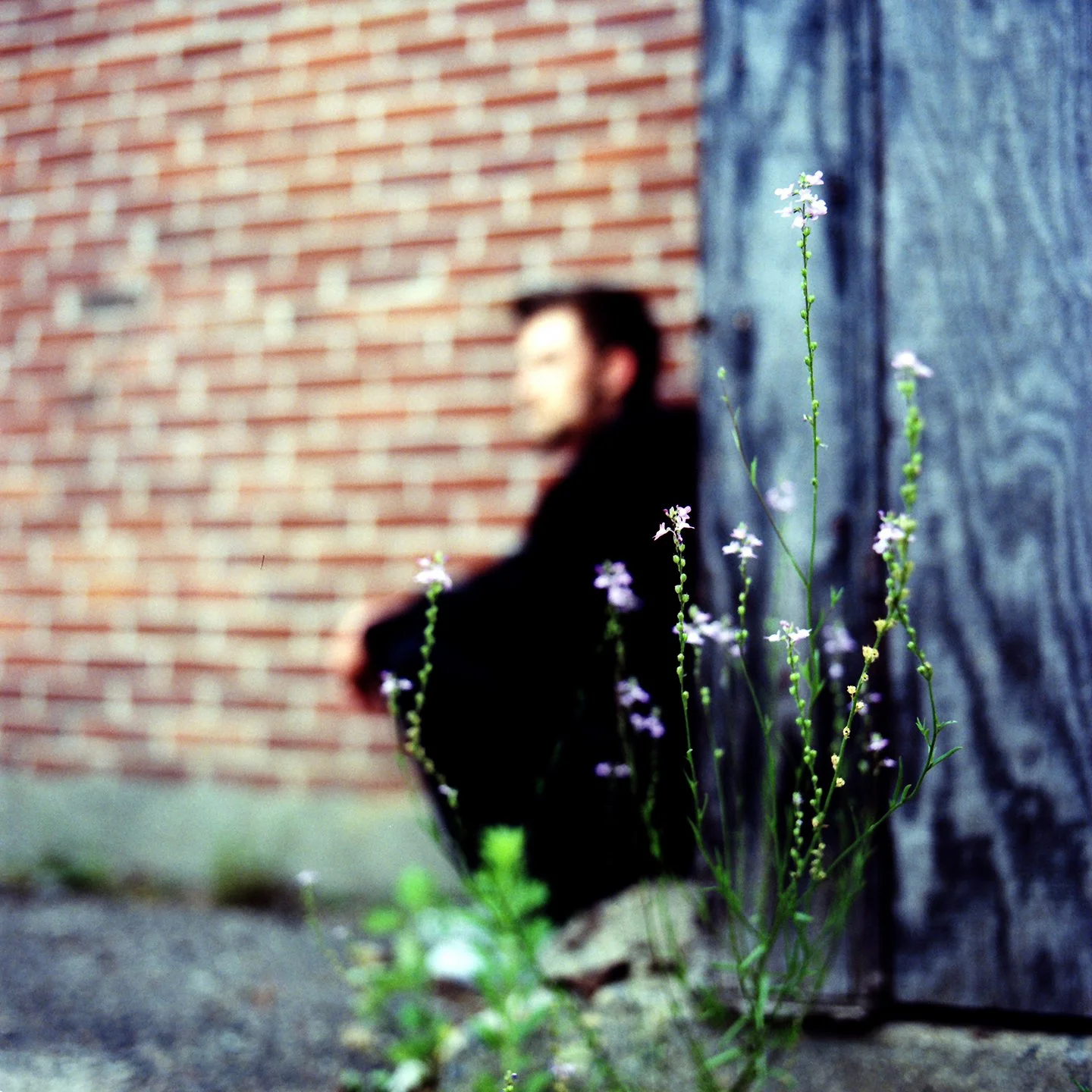 Marcus Web 1.jpg