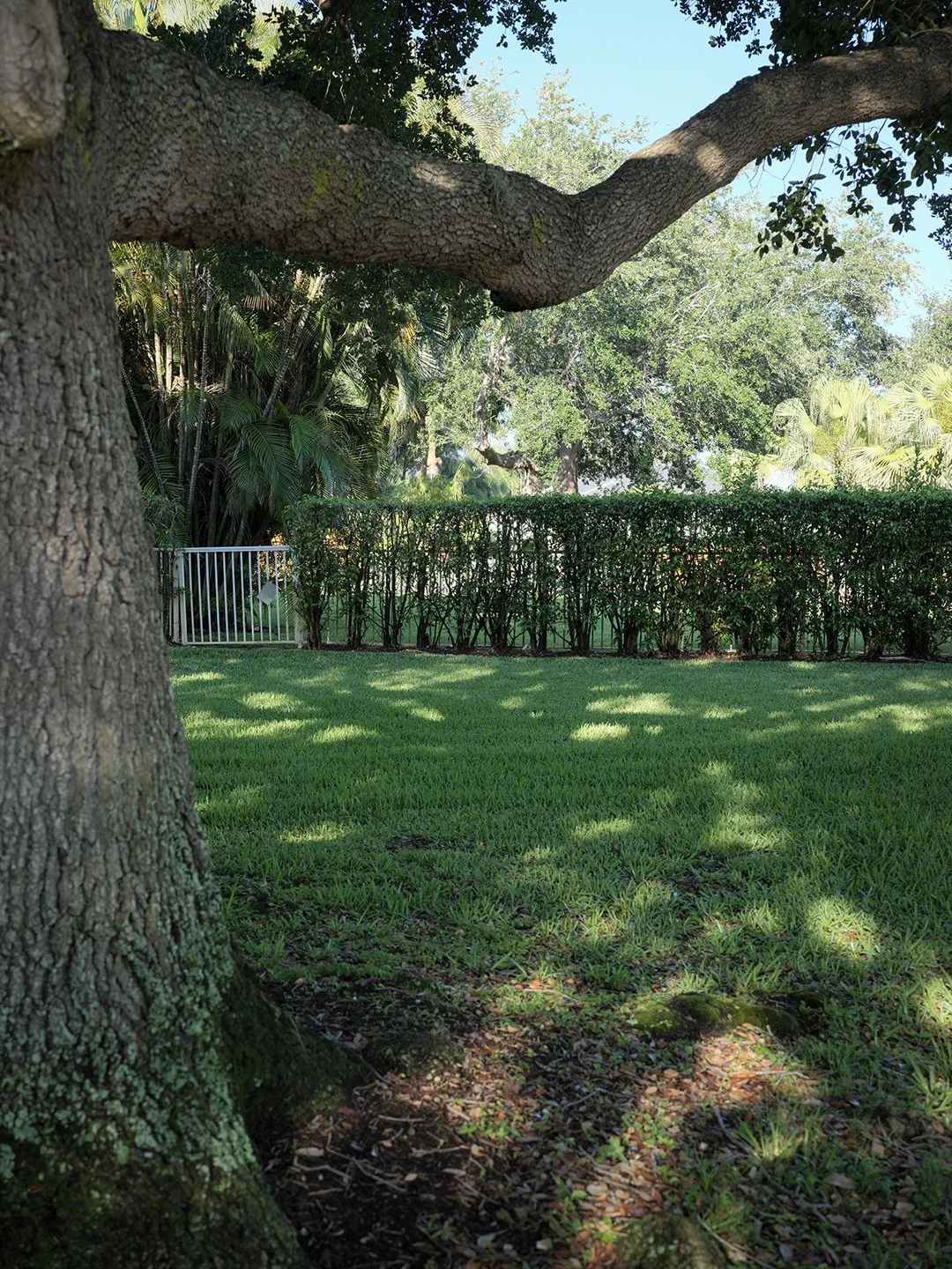 B0000547.jpg