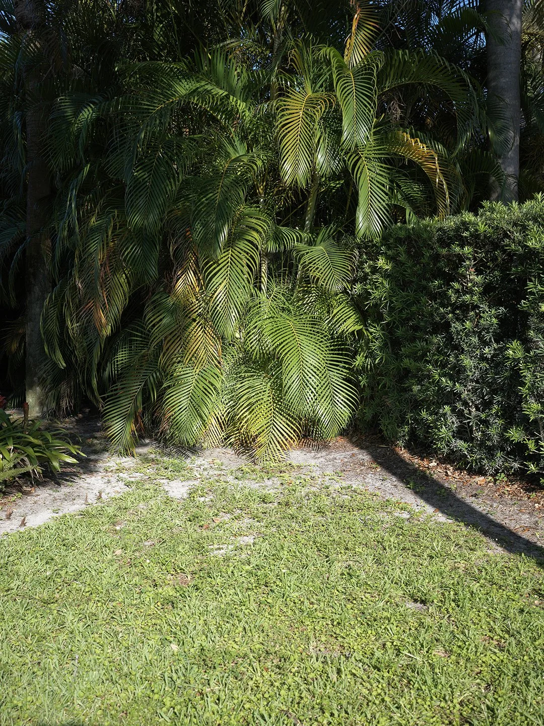 B0000471.jpg