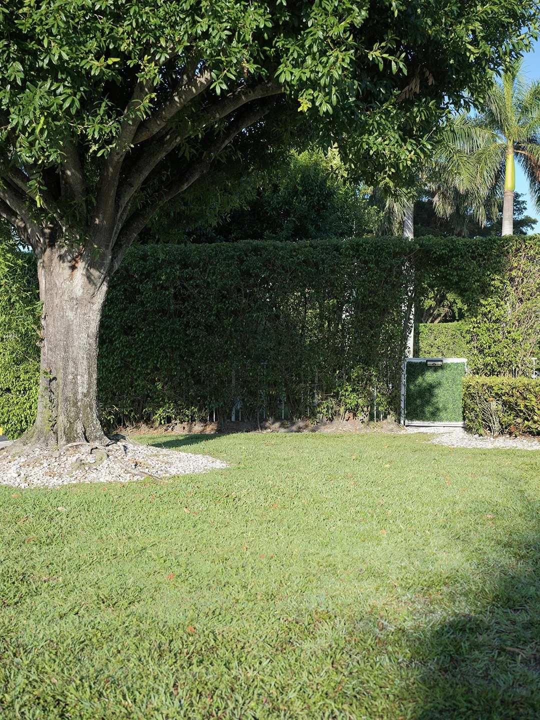 B0000518.jpg