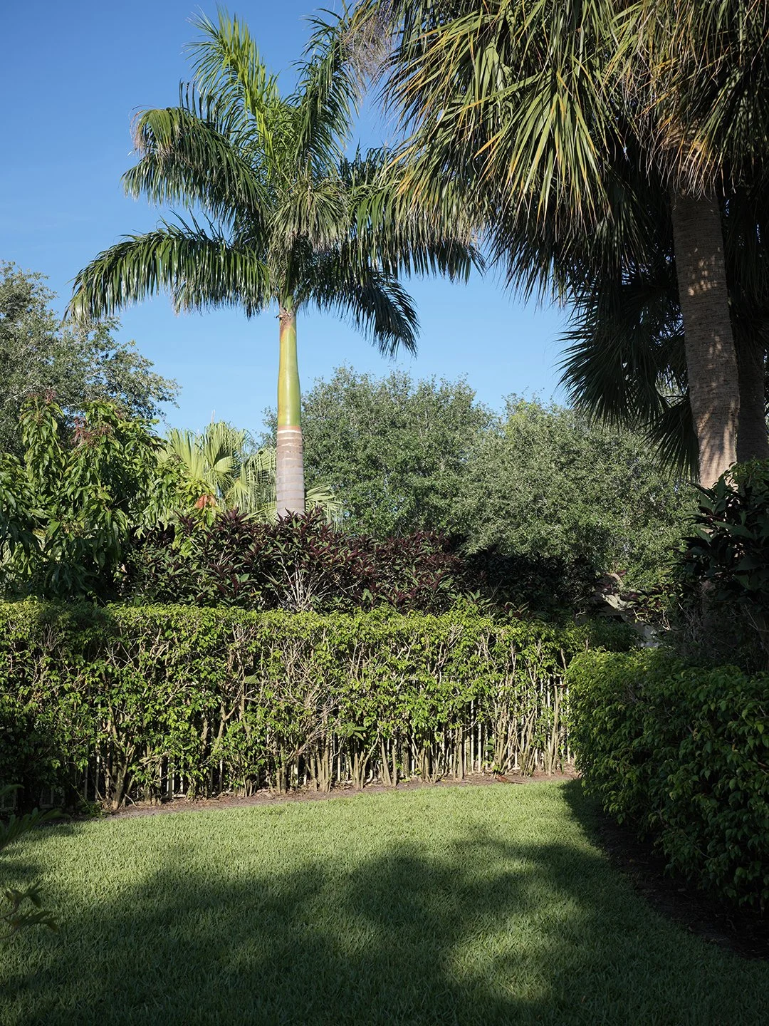 B0000549.jpg