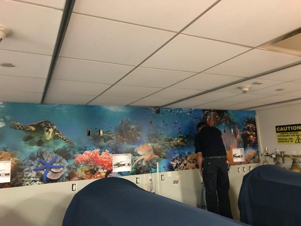 Hyperbaric Room Mural.jpg