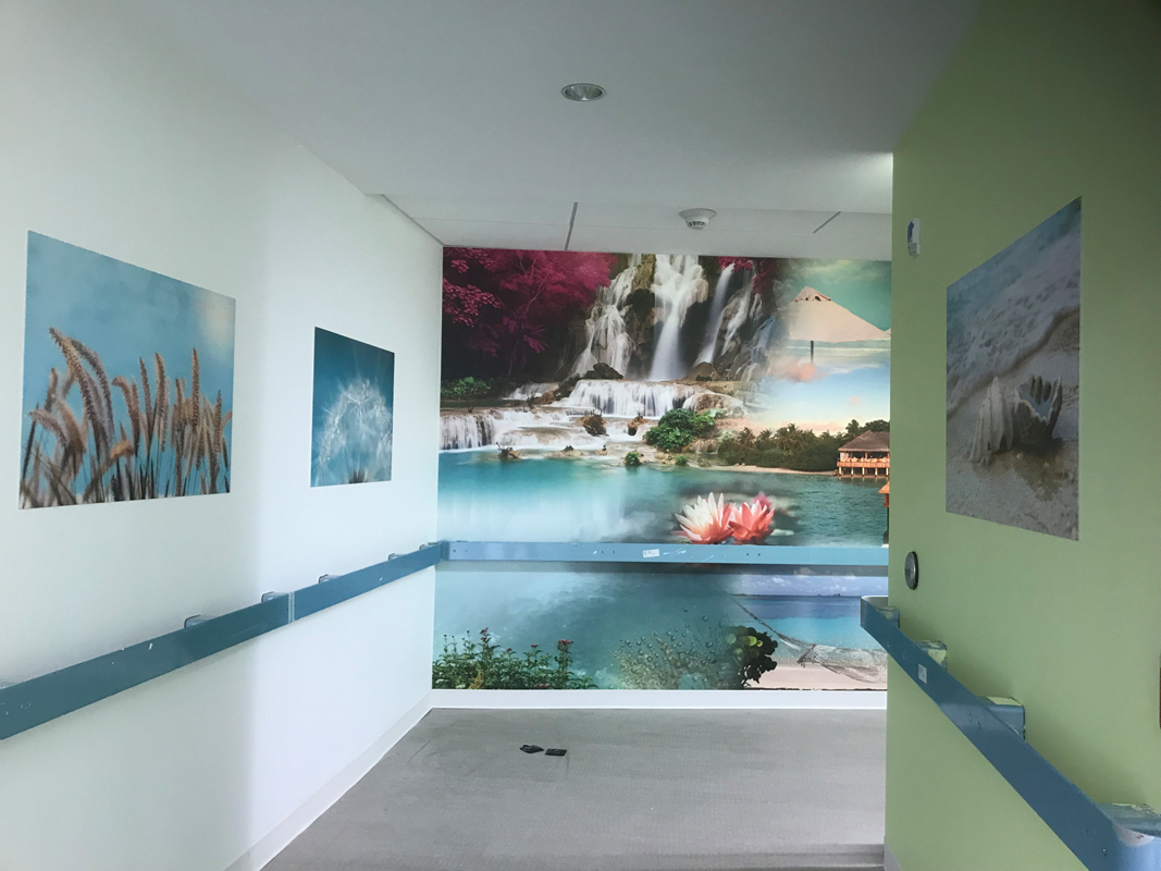 New York Proton Center