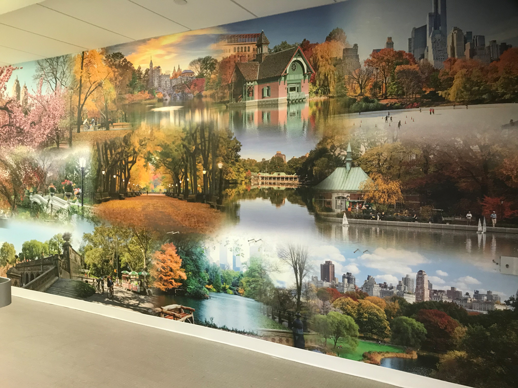 New York Proton Center